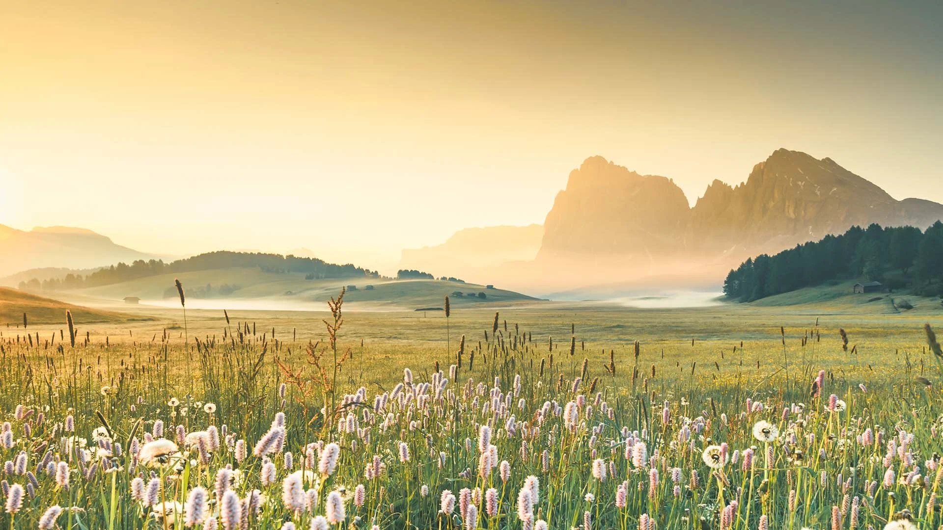 Why Landscape Management Plans Are Key to Long-Term Sustainability