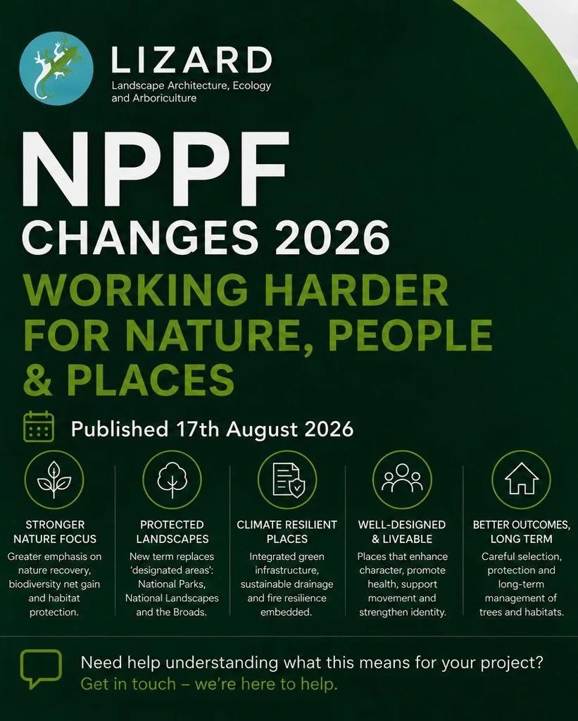 The NPPF has changed and there is plenty for landscape, ecology and planning professionals to take note of.

The 2026 National Planning Policy Framework strengthens the emphasis on integrating green infrastructure, trees, nature recovery and climate 
