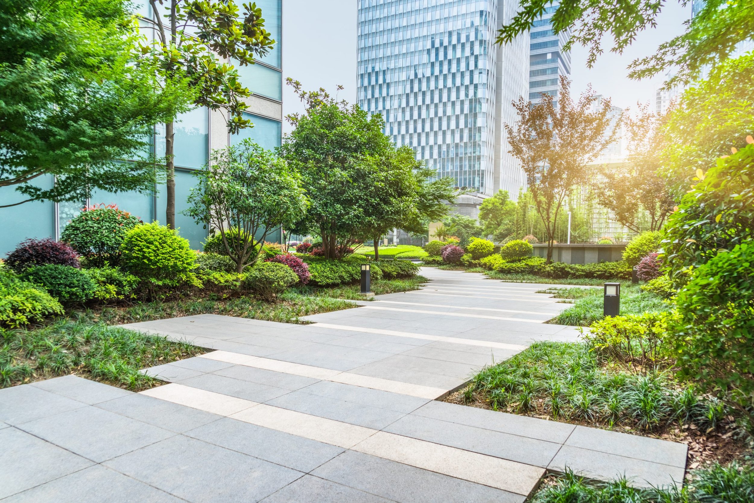 What Are The Benefits Of Sustainable Landscape Design Lizard what-are-the-benefits-of-sustainable-landscape-design-lizard