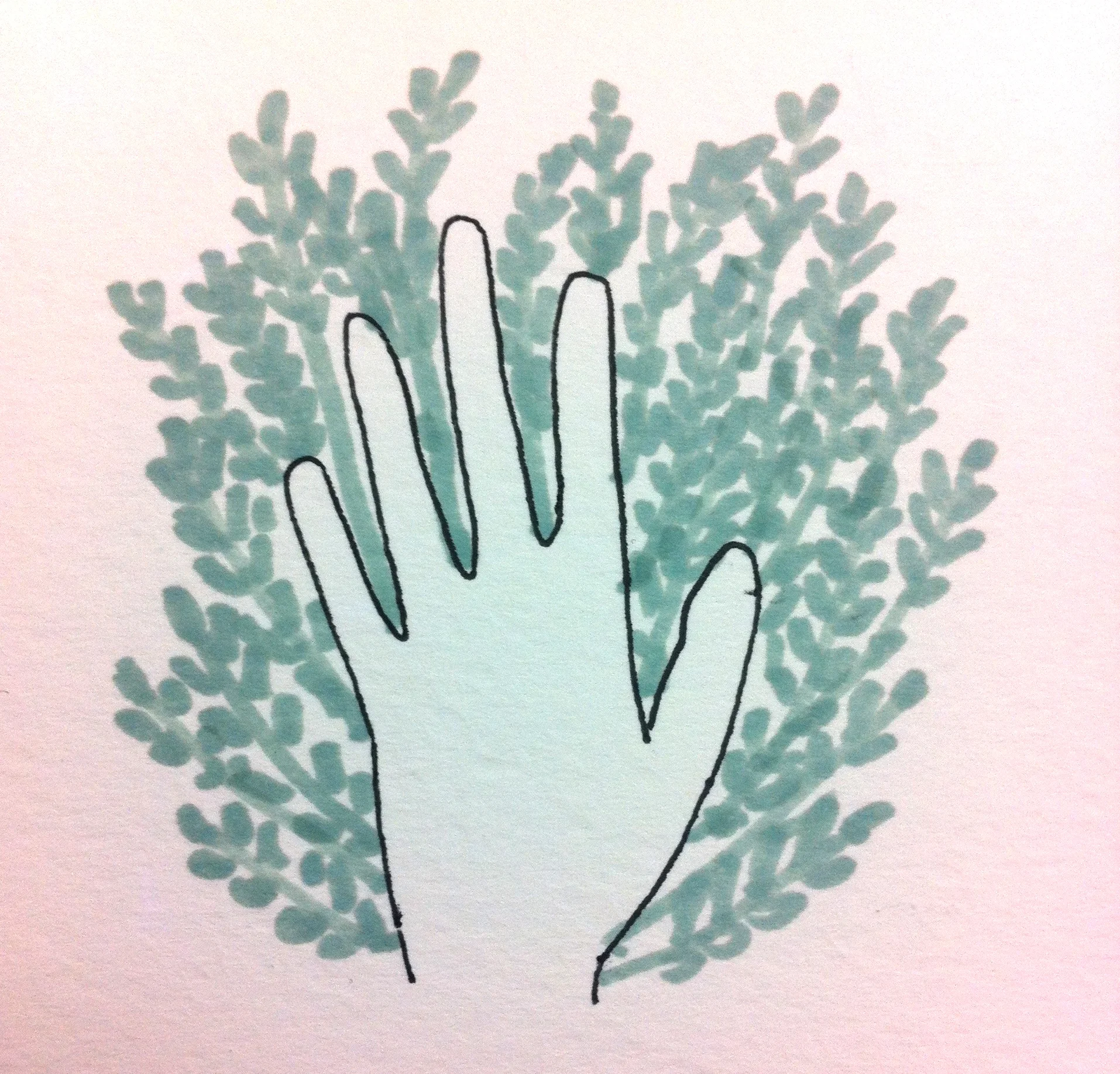 Trace