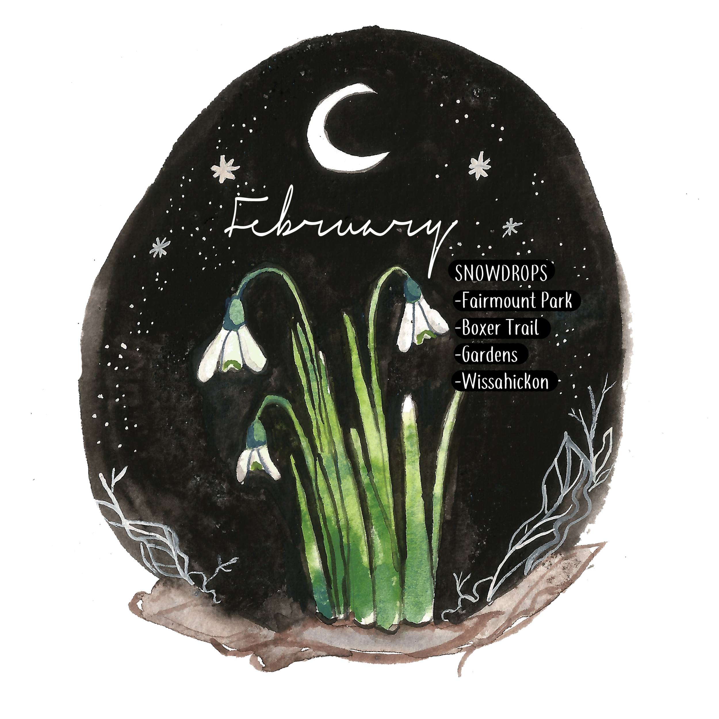 2_february_info.png