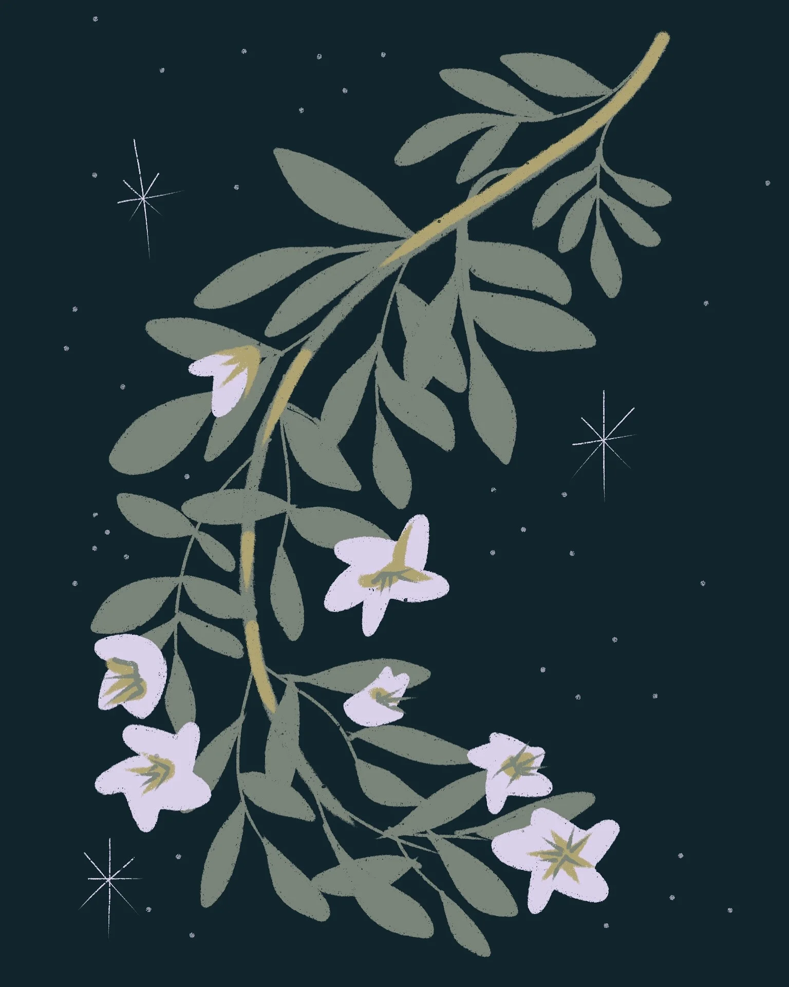 Soft, at Night