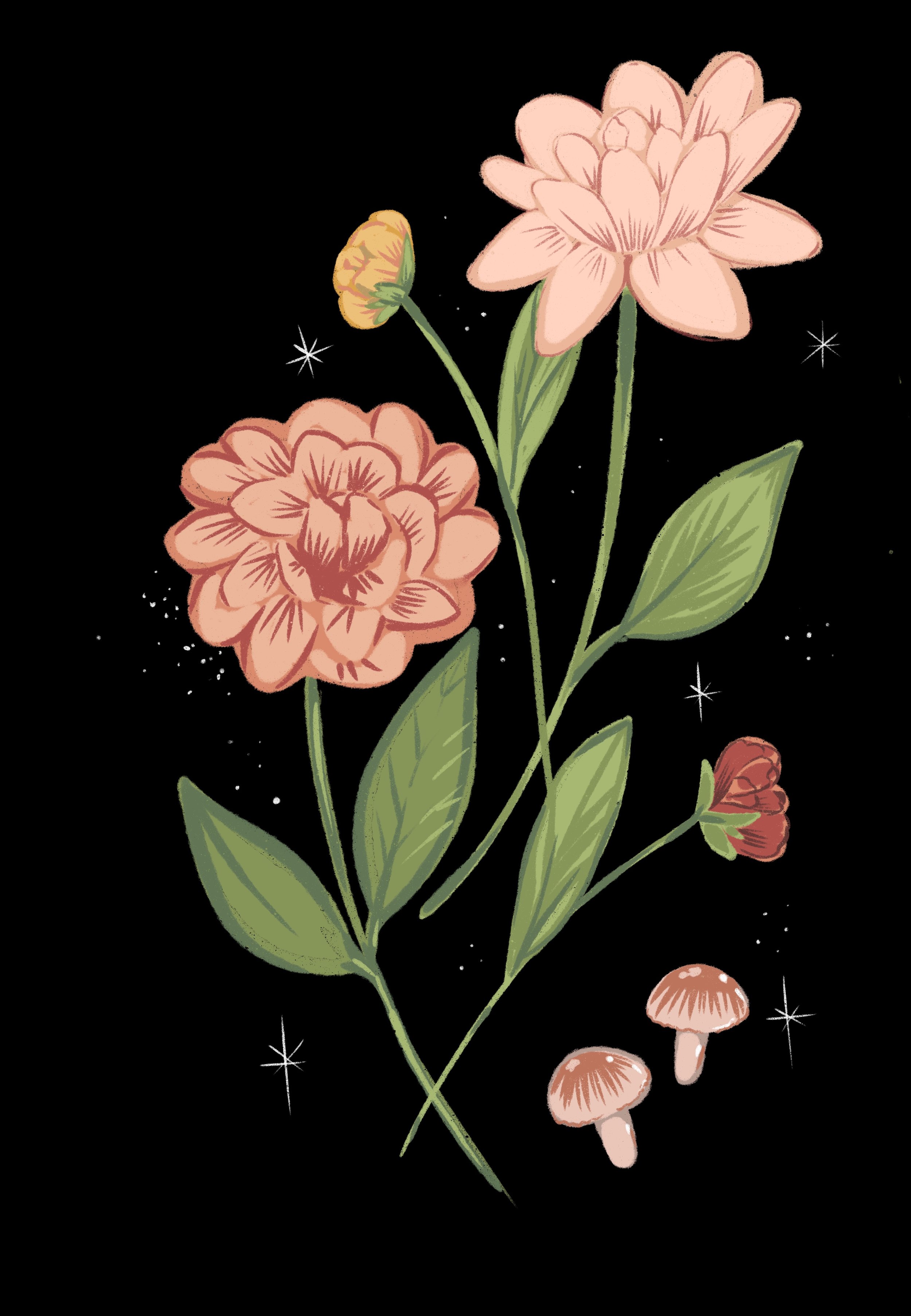 Dahlias