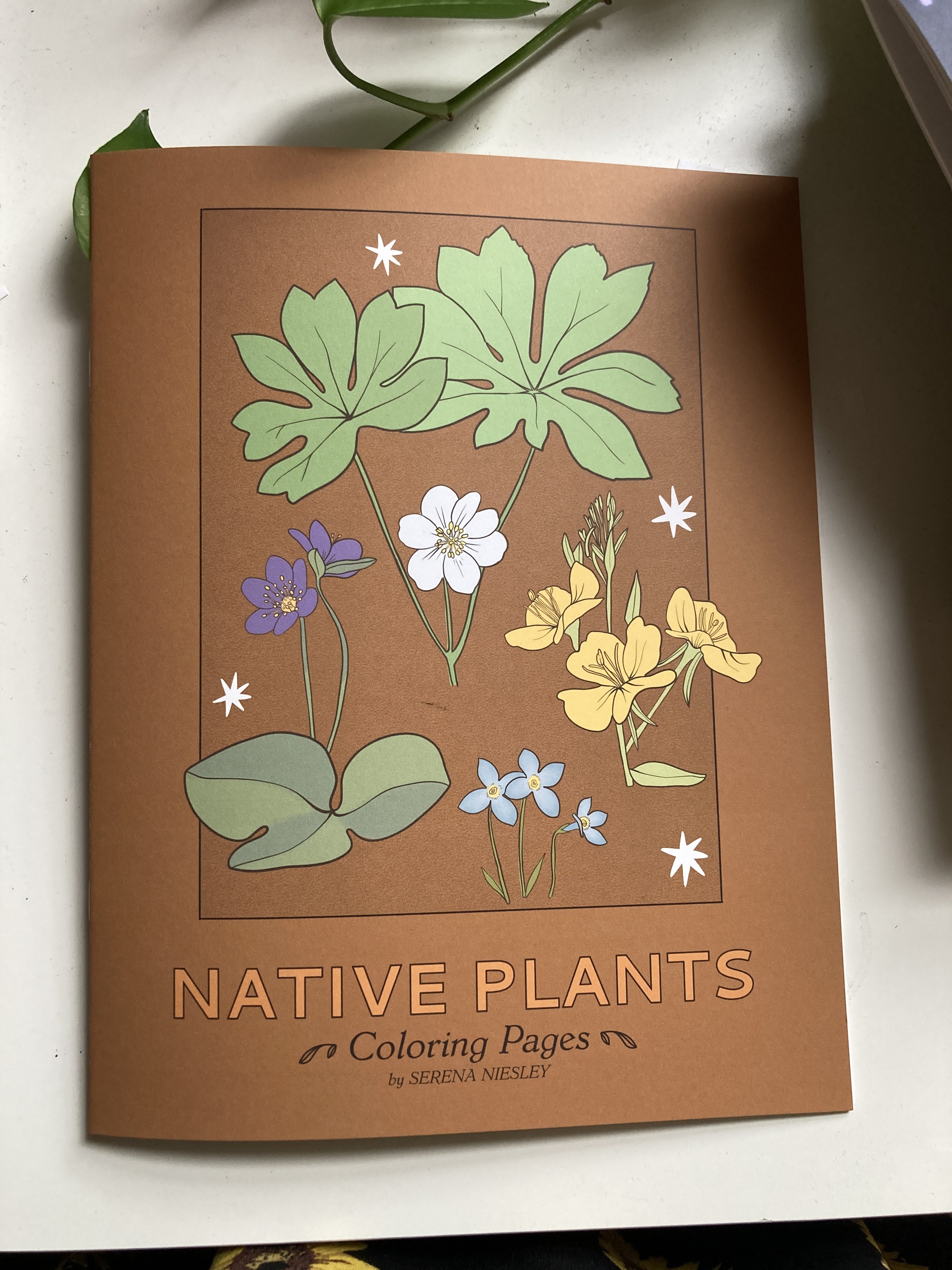 Native Plants Coloring Book