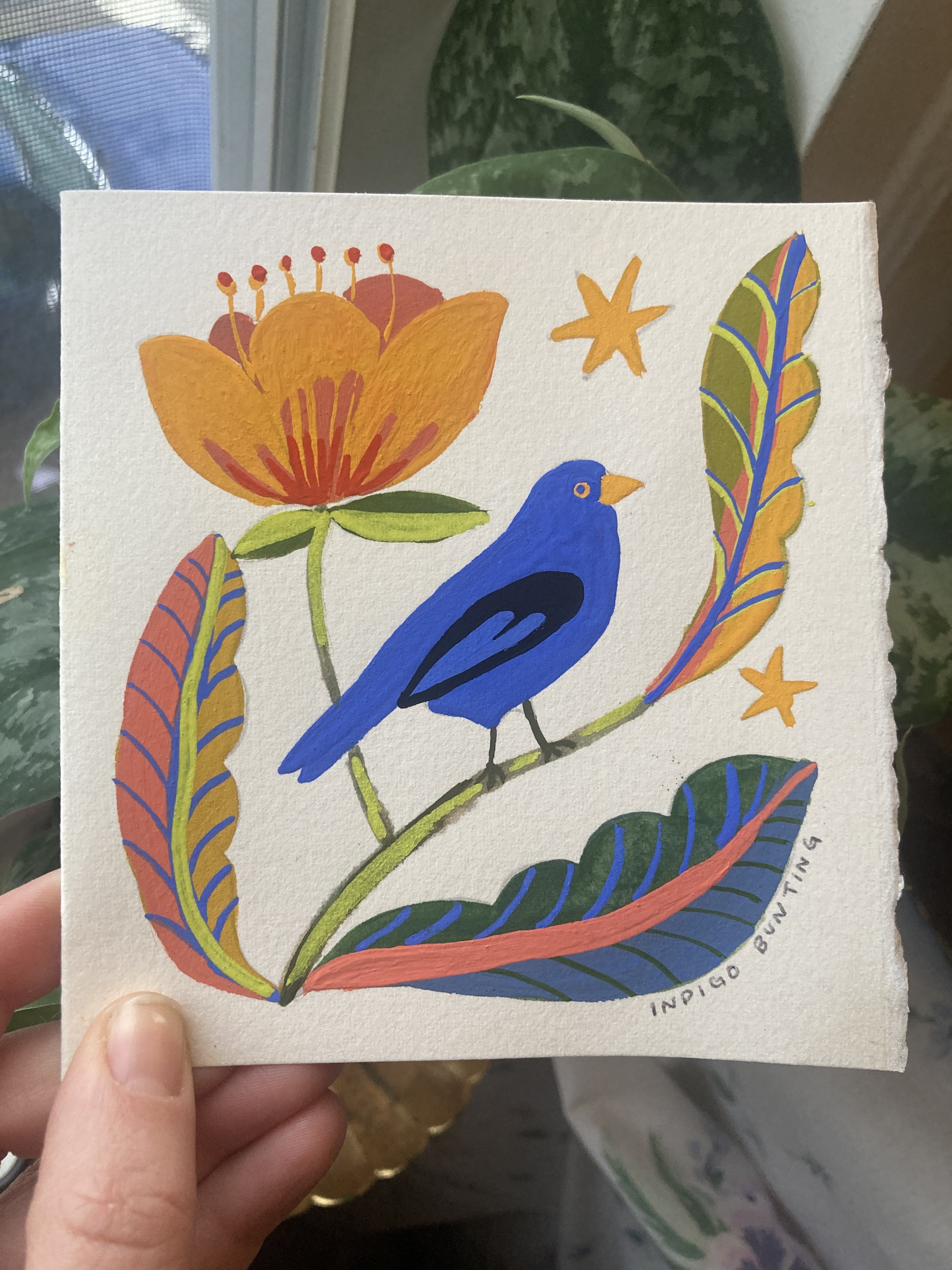 Indigo Bunting and Tulip Poplar