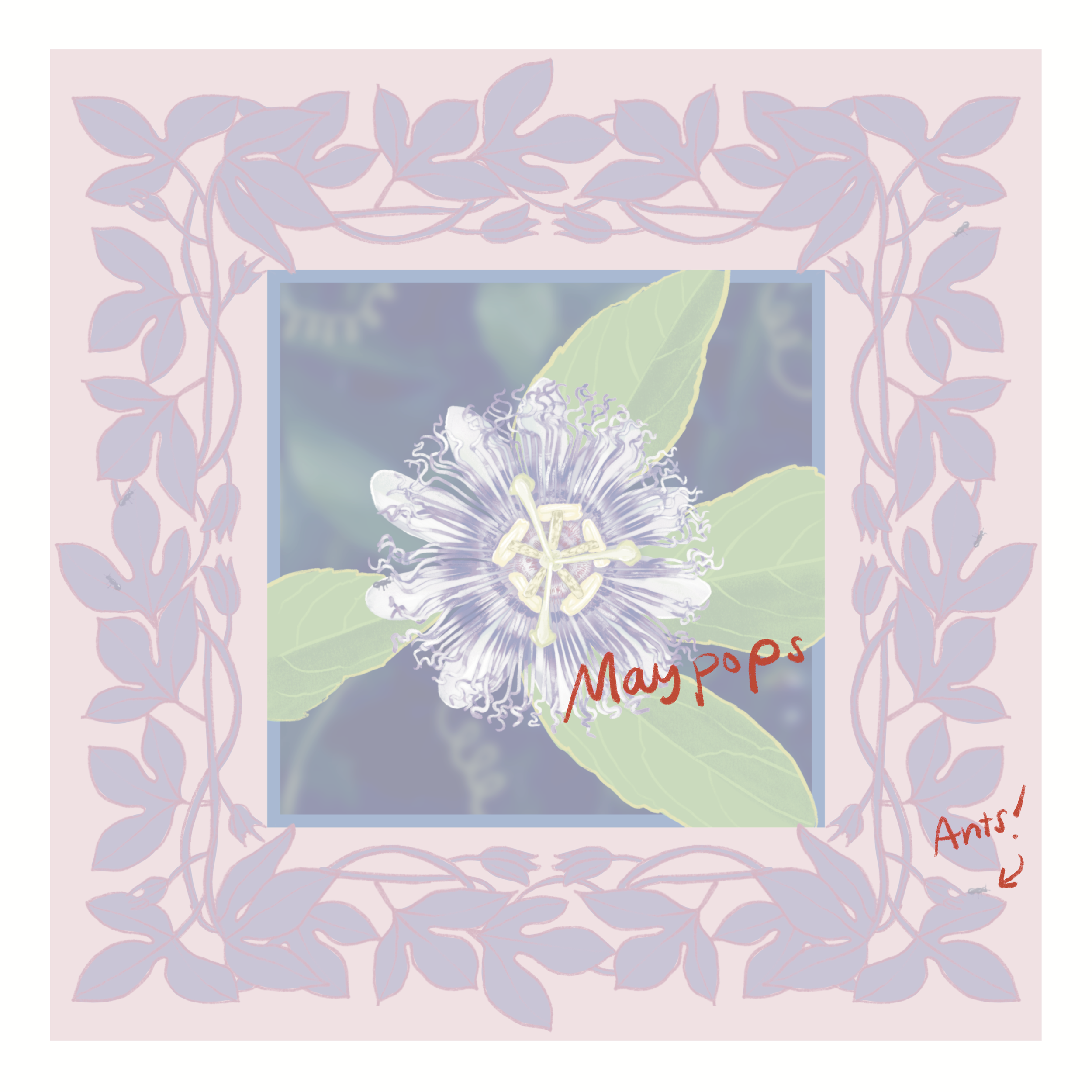 August 6.png