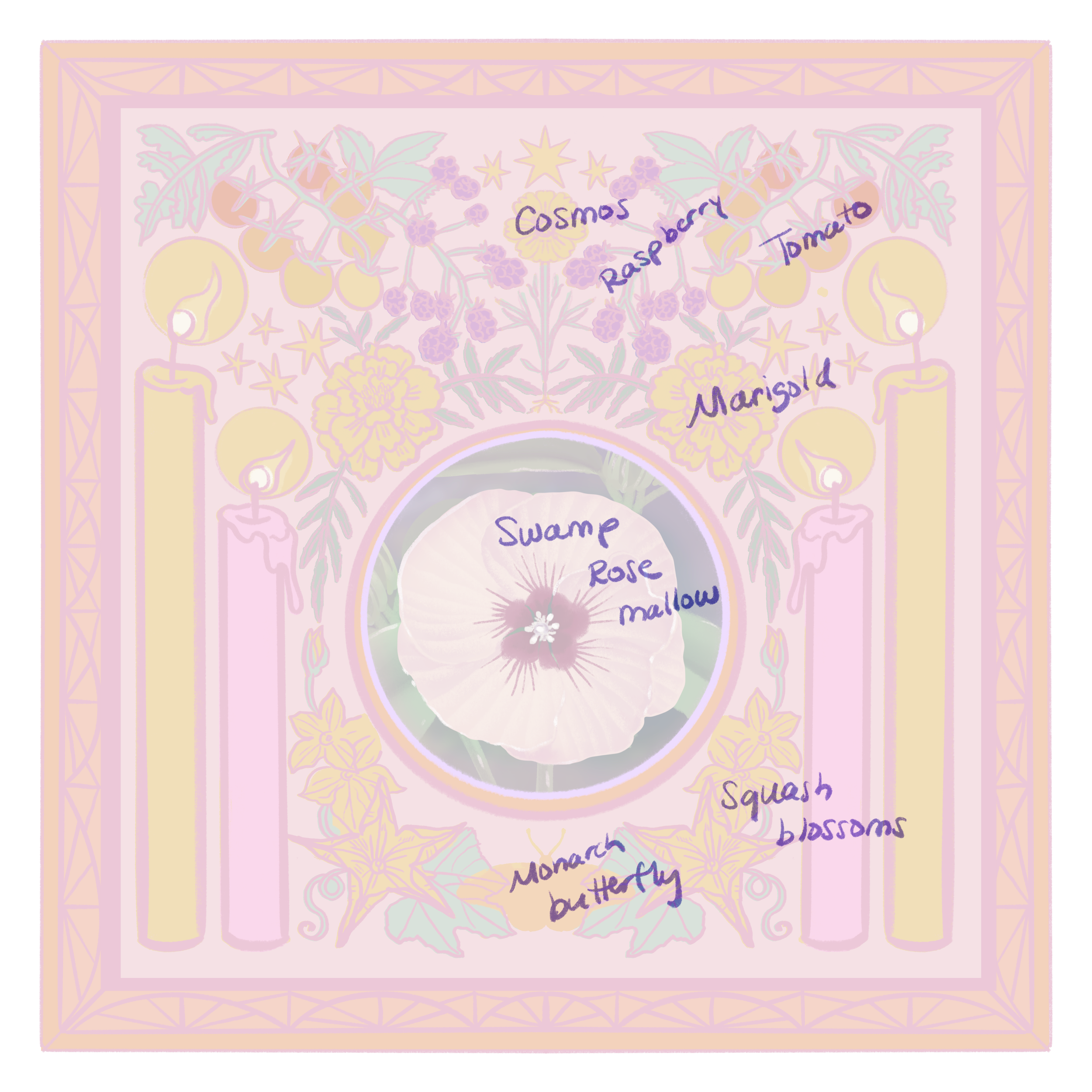 IMG_5901.png