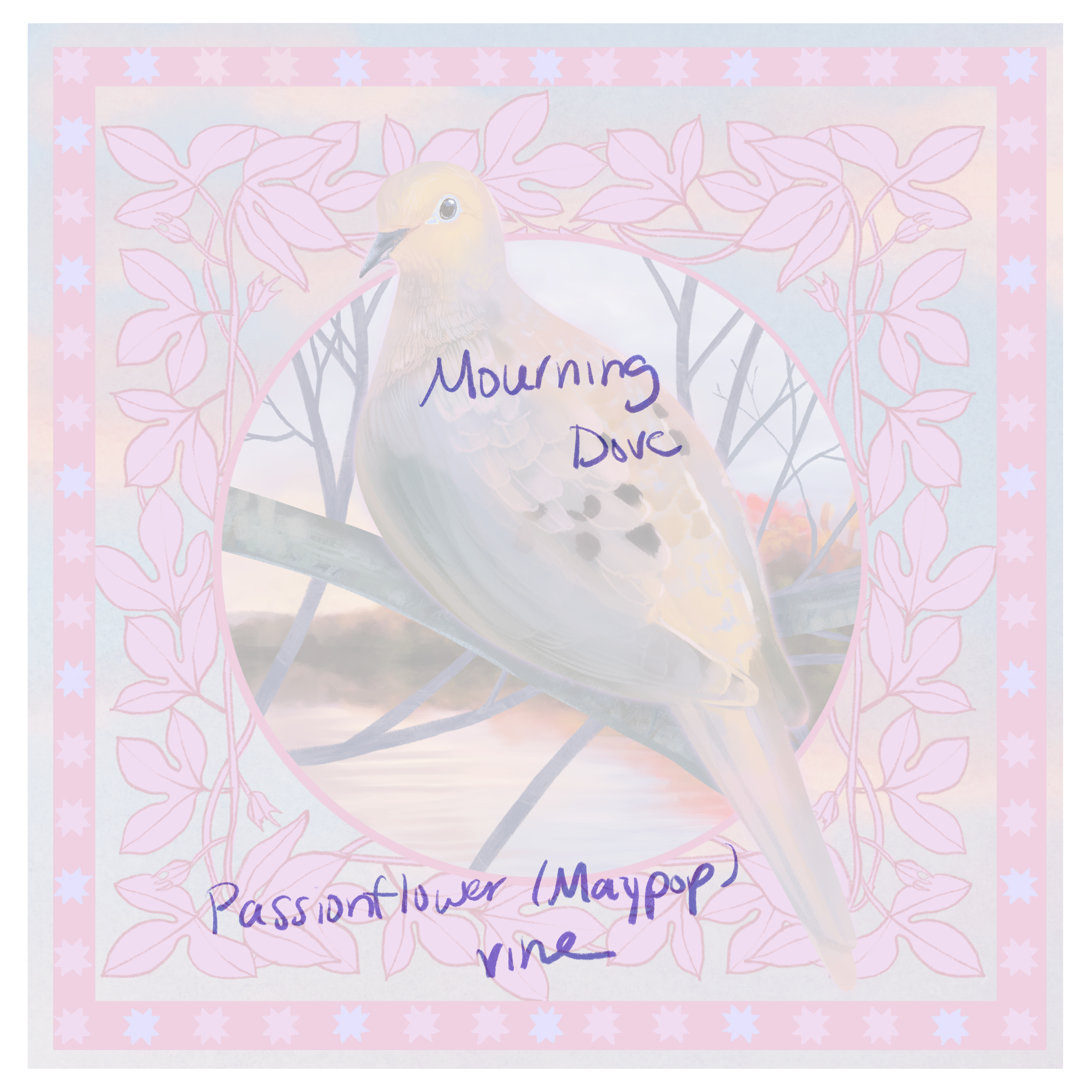 IMG_5902.png