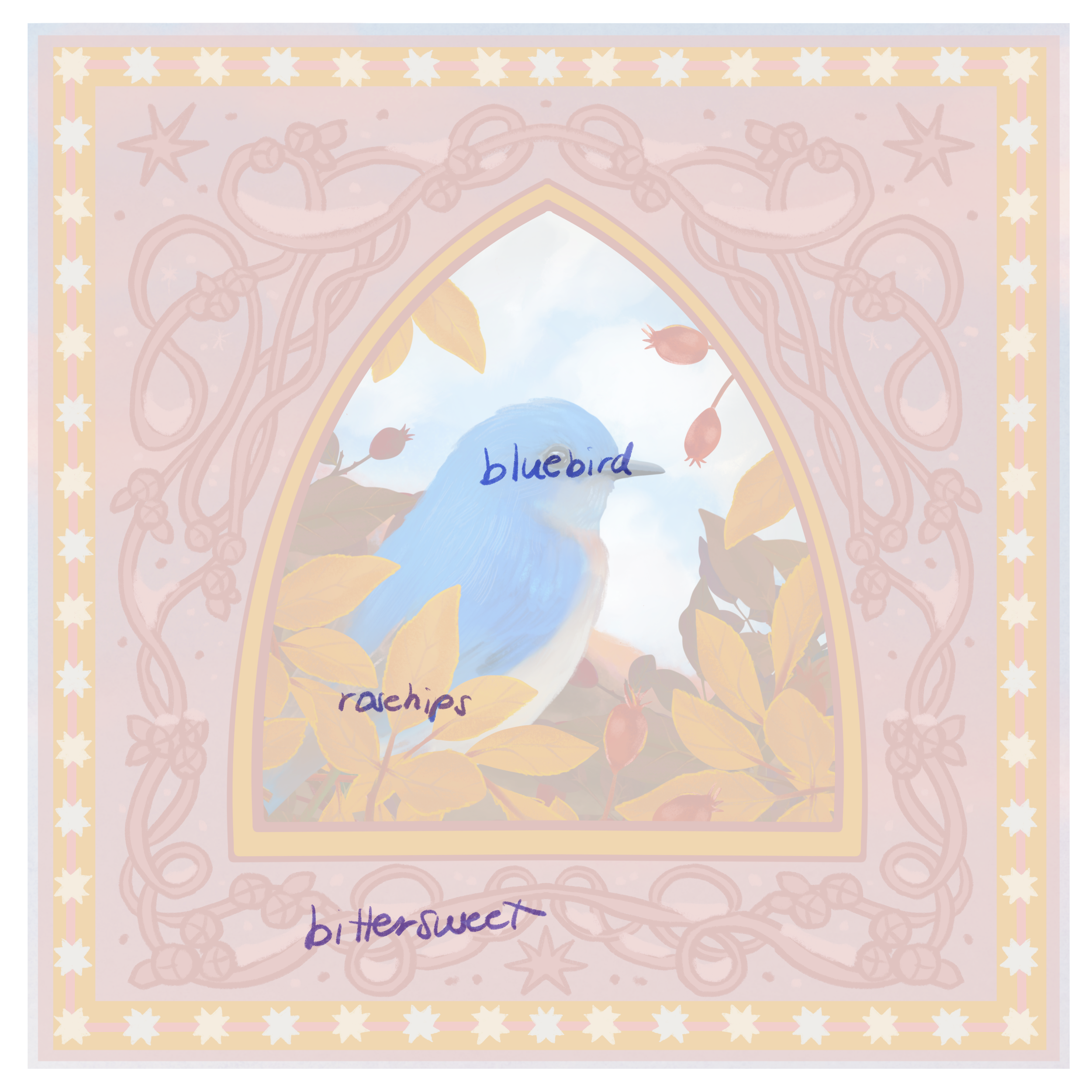 IMG_5905.png