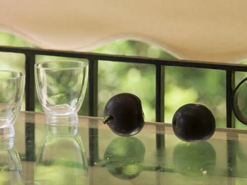 Plum and Beetle (Athens), 2014. Photo by Matt Grubb