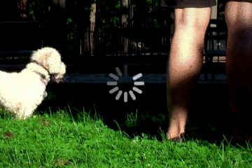 AttetnionstestPicGIF.gif