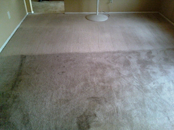 Before/After Carpet Cleaning Glendale, AZ