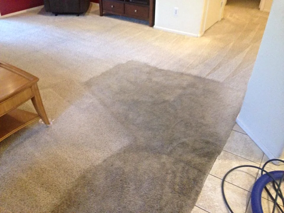 Before/After Carpet Cleaning Peoria, AZ