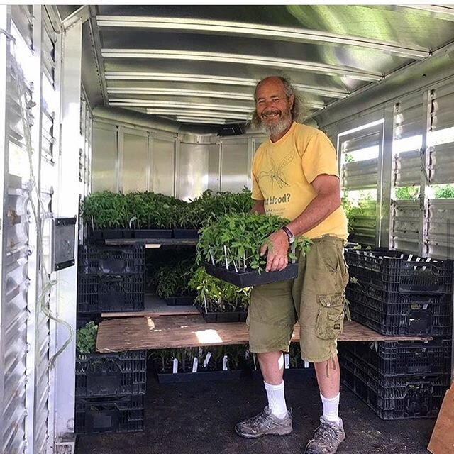 !!Last call for Seedling Sale orders from Four Winds Farm!! This is the last day you can order seedlings for pick-up from @4windsfarm this weekend at the Cold Spring Farmers&rsquo; Market! Here&rsquo;s the deal: ​🌱Click &ldquo;Organic Seedlings&rdqu