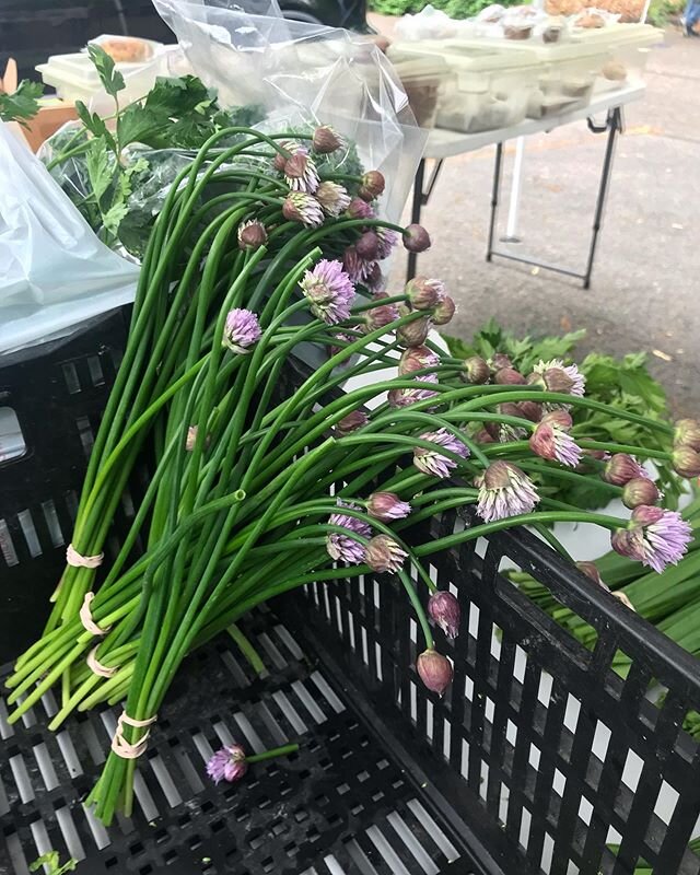 THANK YOU to our vendors and visitors who came out to the market Saturday despite the threat of rain all day! We appreciate the support! We&rsquo;ll be sharing our upcoming vendor list tomorrow, so stay tuned. 📷: pretty flowering chive grass from @y