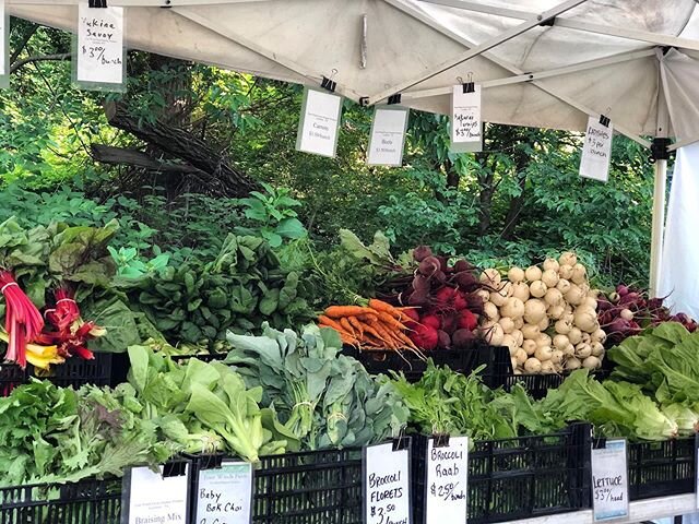 Gorgeous veggies from @4windsfarm! If you don&rsquo;t want to miss out on anything, pre-order via the Four Winds Farm website: Online Vegetable ordering for the Cold Spring Saturday Market pick-up opens every Tuesday evening at 6pm and closes Thursda