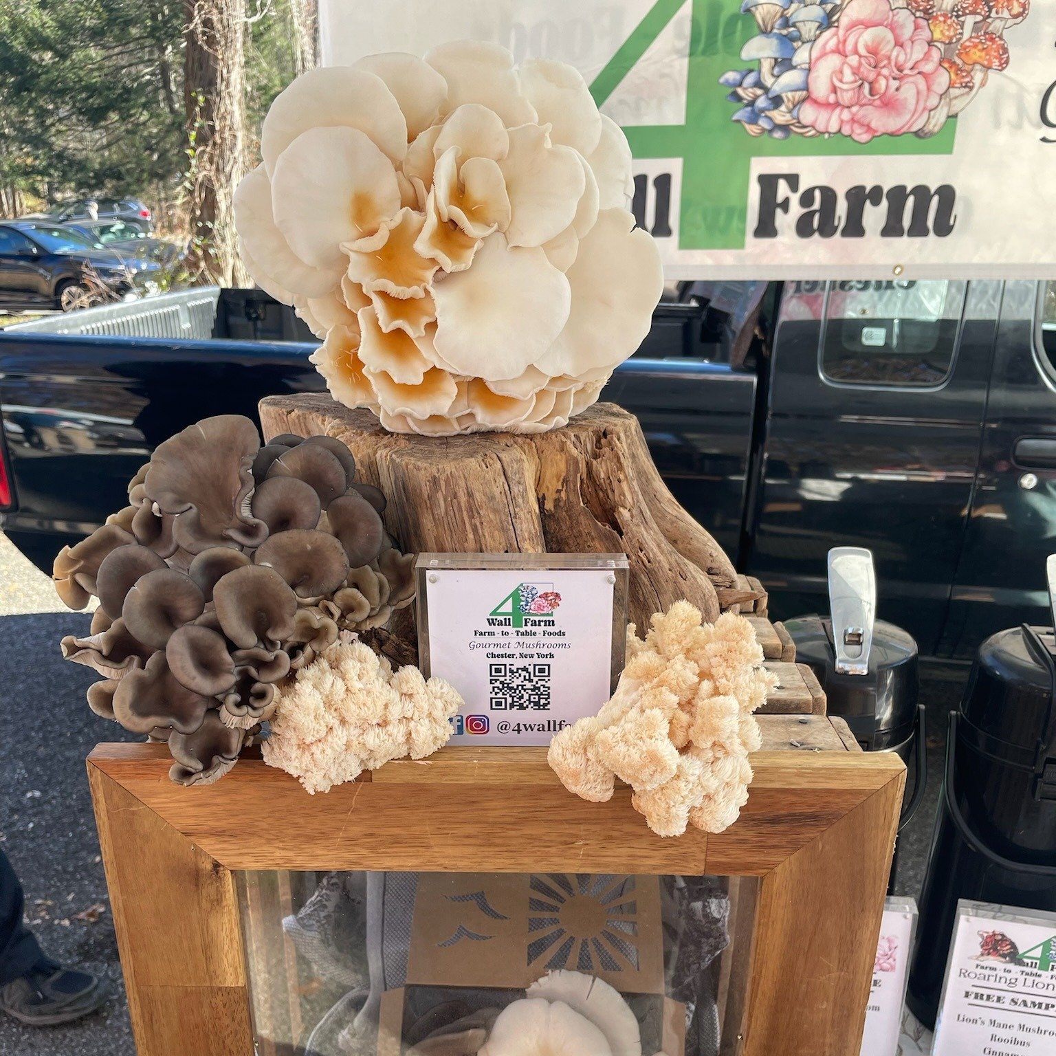Introducing Four Wall Farm, a new vendor for the winter with some delicious mushrooms! They have all kinds of specialty mushrooms such as lion's mane, golden oyster, and sometimes even lobster mushrooms! Also, if you've always wanted to cook mushroom