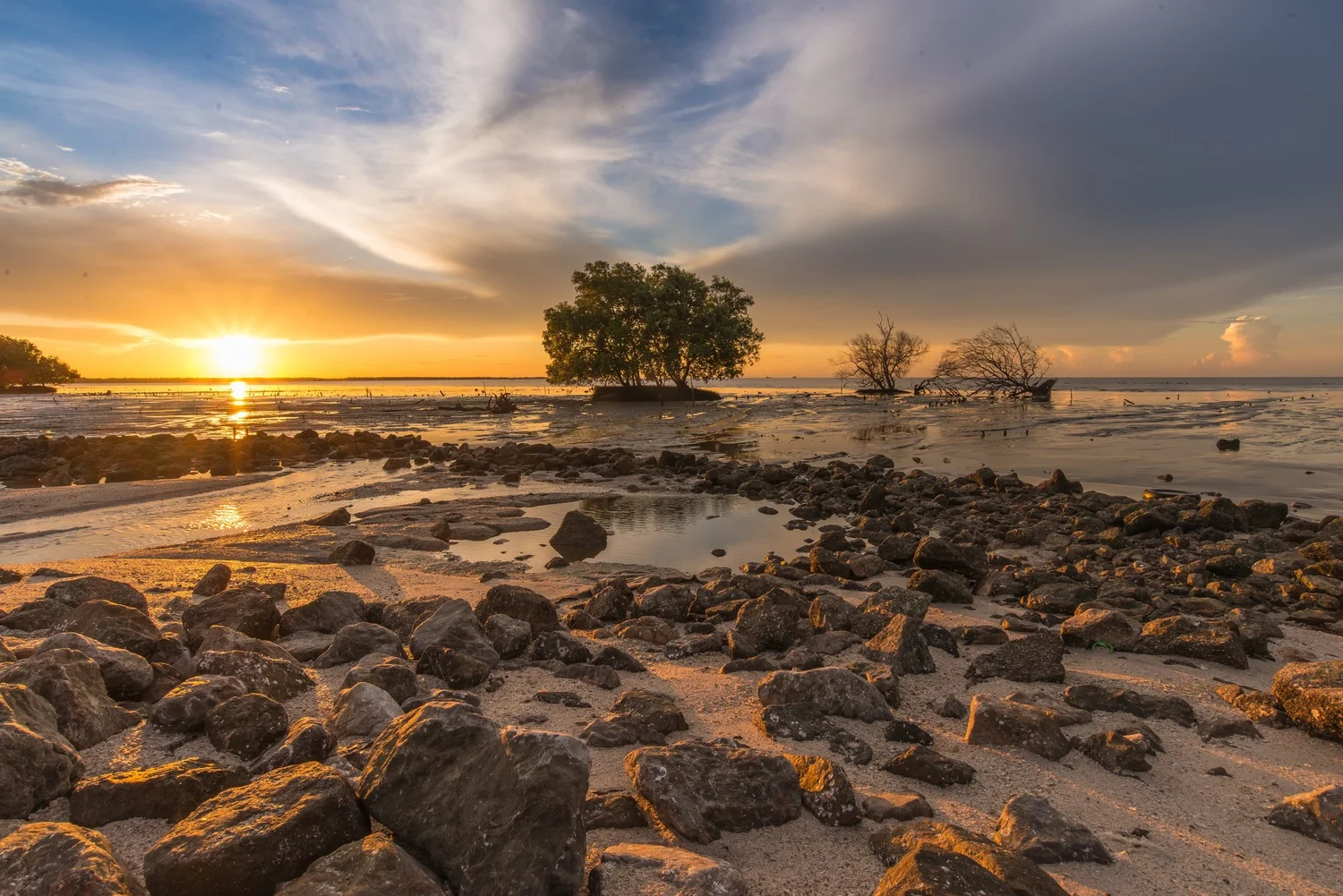 shutterstock_288079679-min.jpg