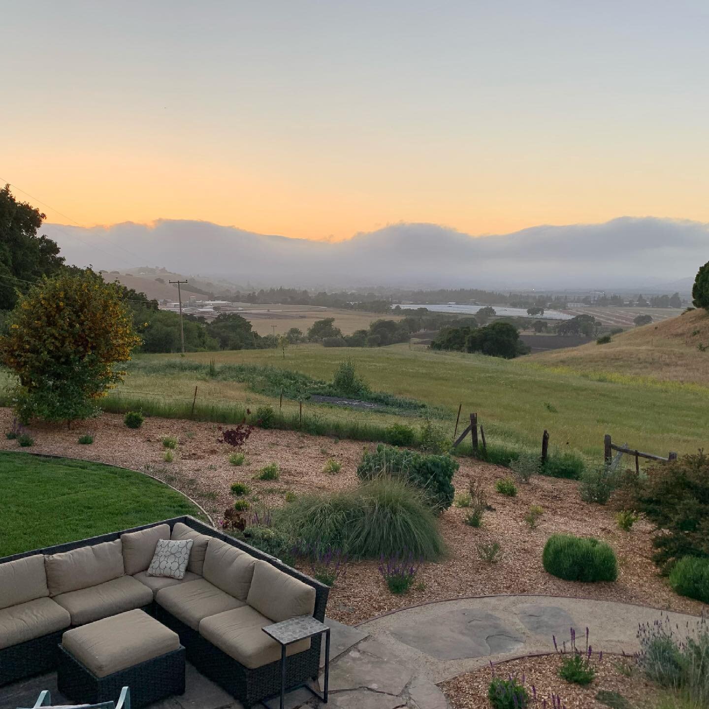 I love being on this side of the fog bank. 👋🏼 Santa Cruz/ Monterey @sethspollack 🥰
#fog #california #sunset #sanbenitocounty @discoversanbenito #sanjuanbautista