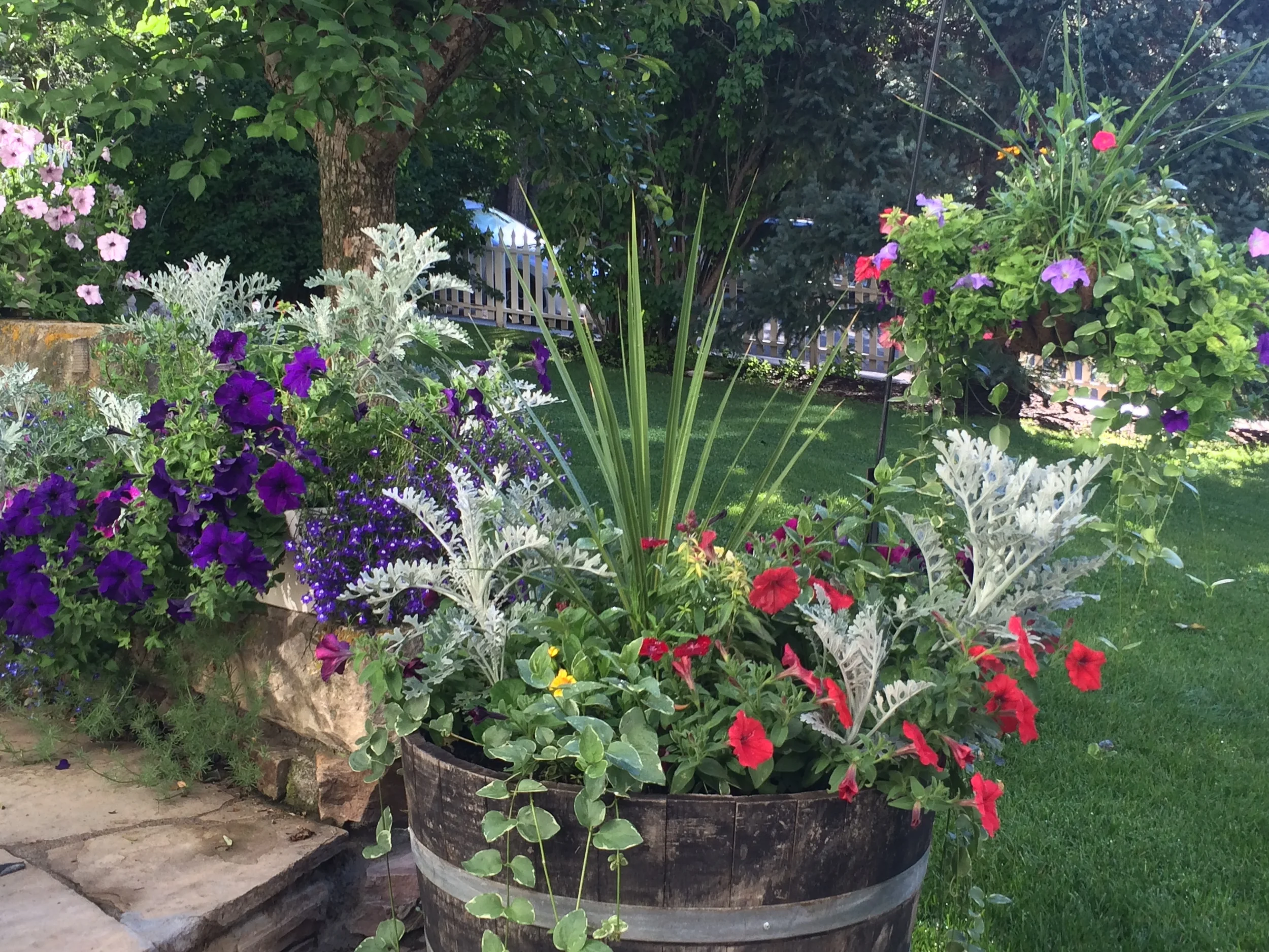 camer roll 1014 080.JPG