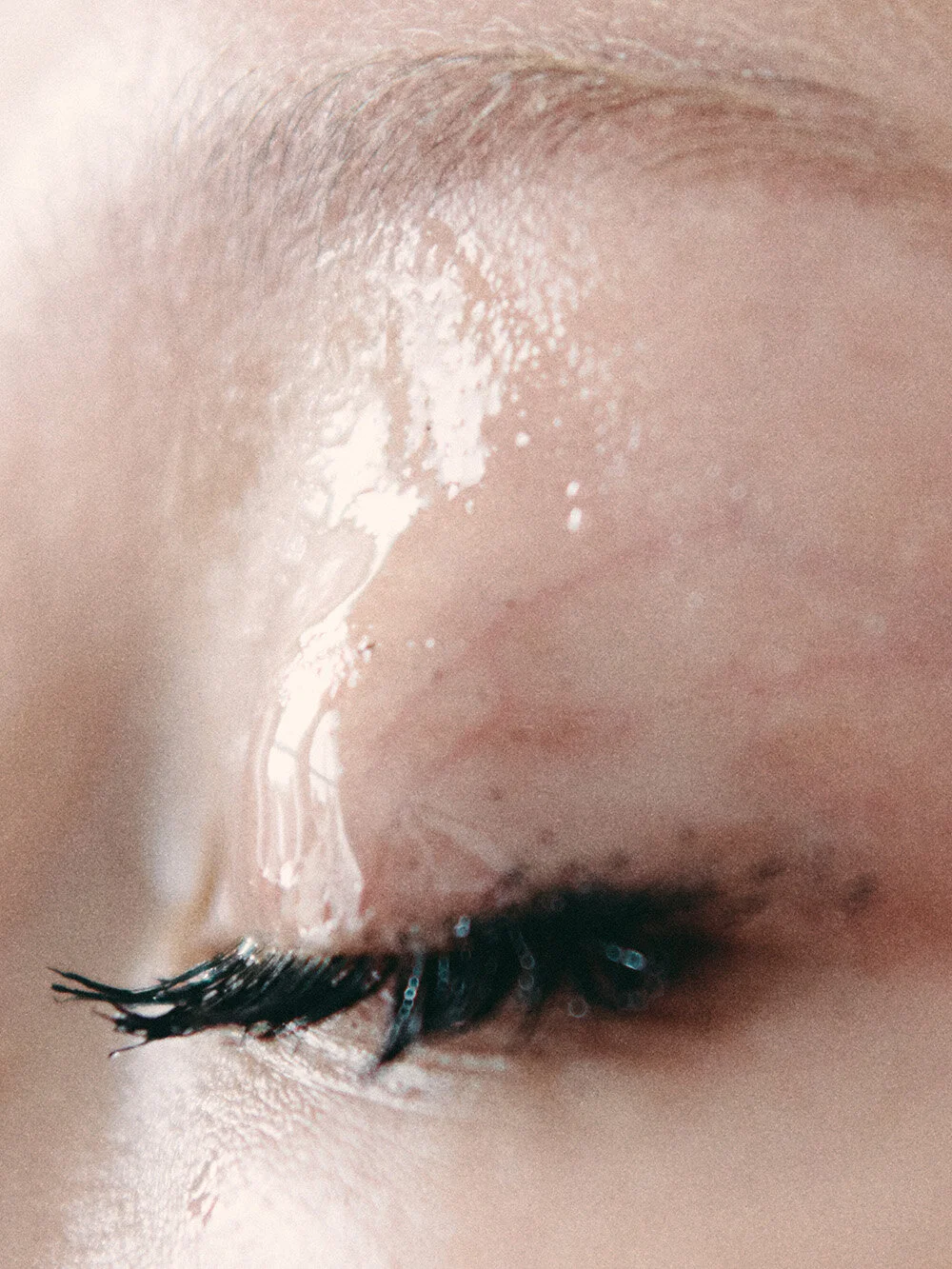 VLR_090_044web.jpg