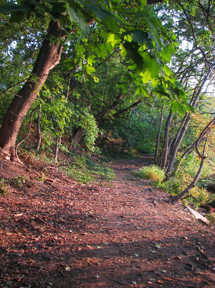  Trail around Indian Pond