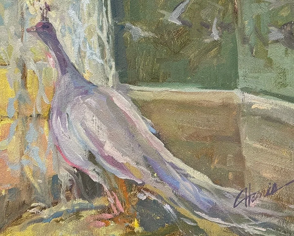 CindyHarrisArt.com - White Peacock.jpg
