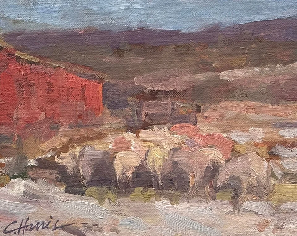 CindyHarrisArt.com - The Frenchmans Sheep.jpg