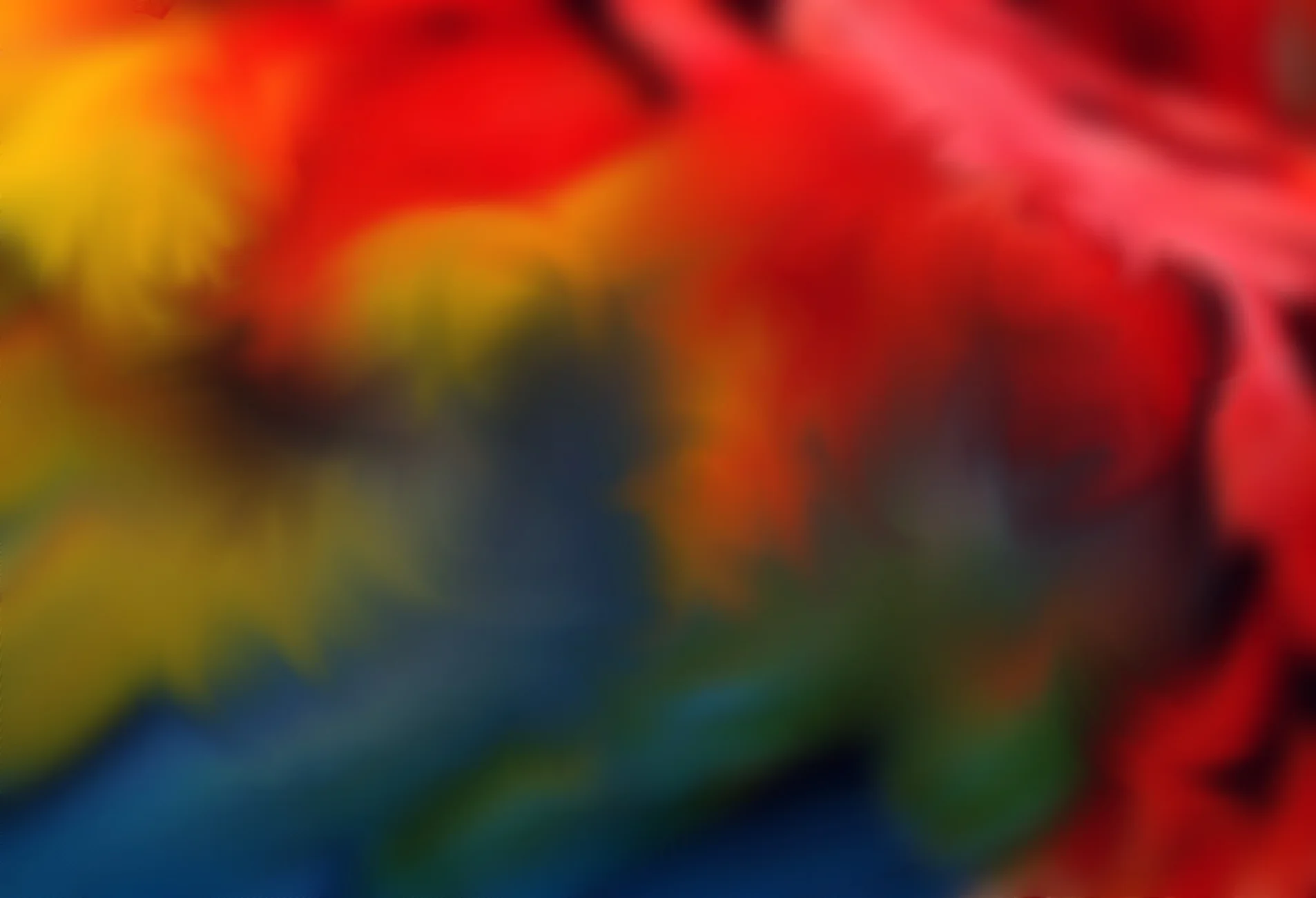 feathers blurred.jpg