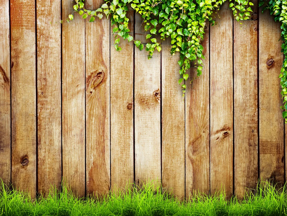 shutterstock_113584240.jpg