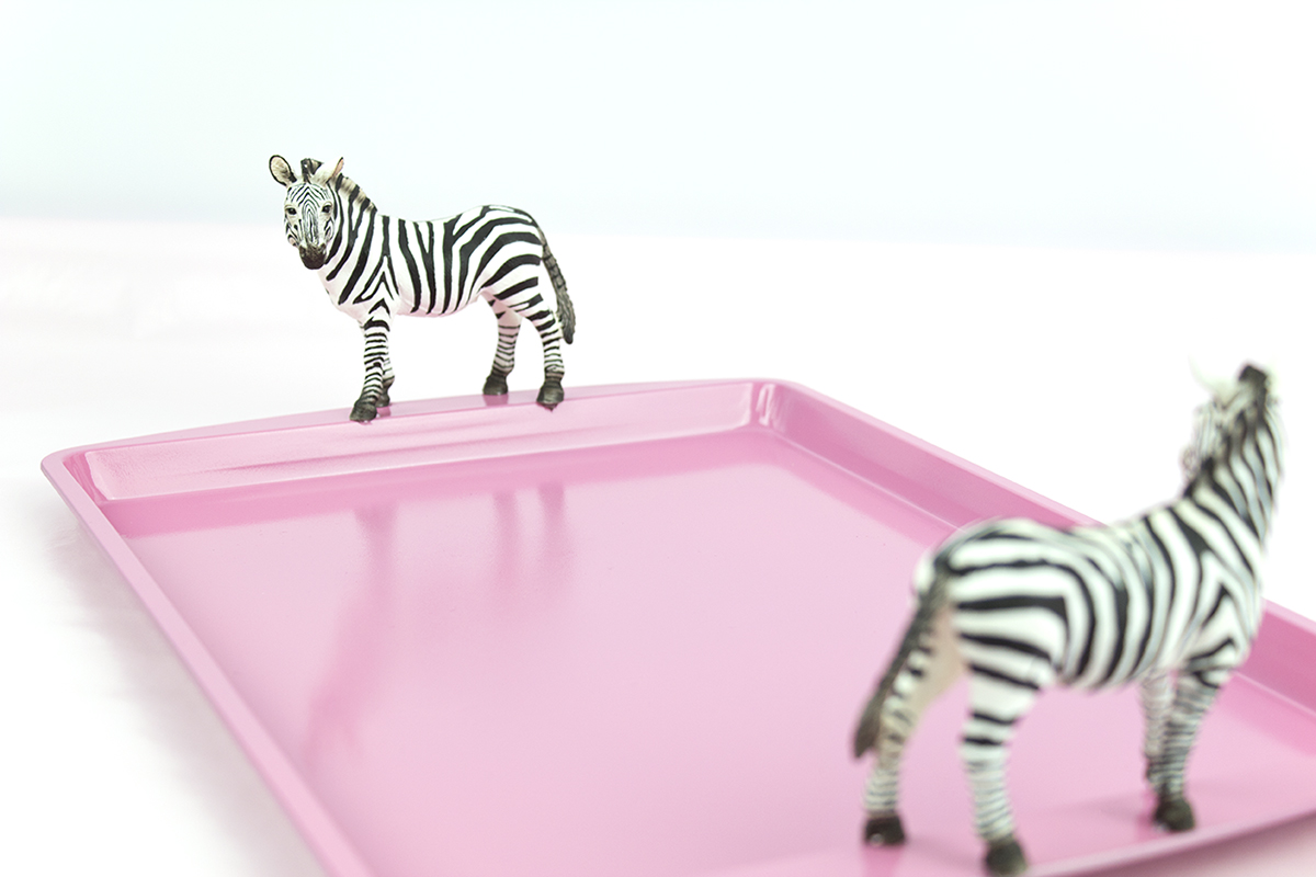 DIY Zebra Tray. Click for the full how-to!