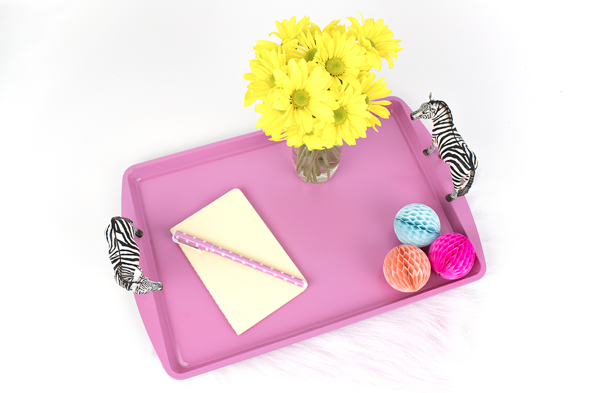 Zebra Tray 6a.jpg