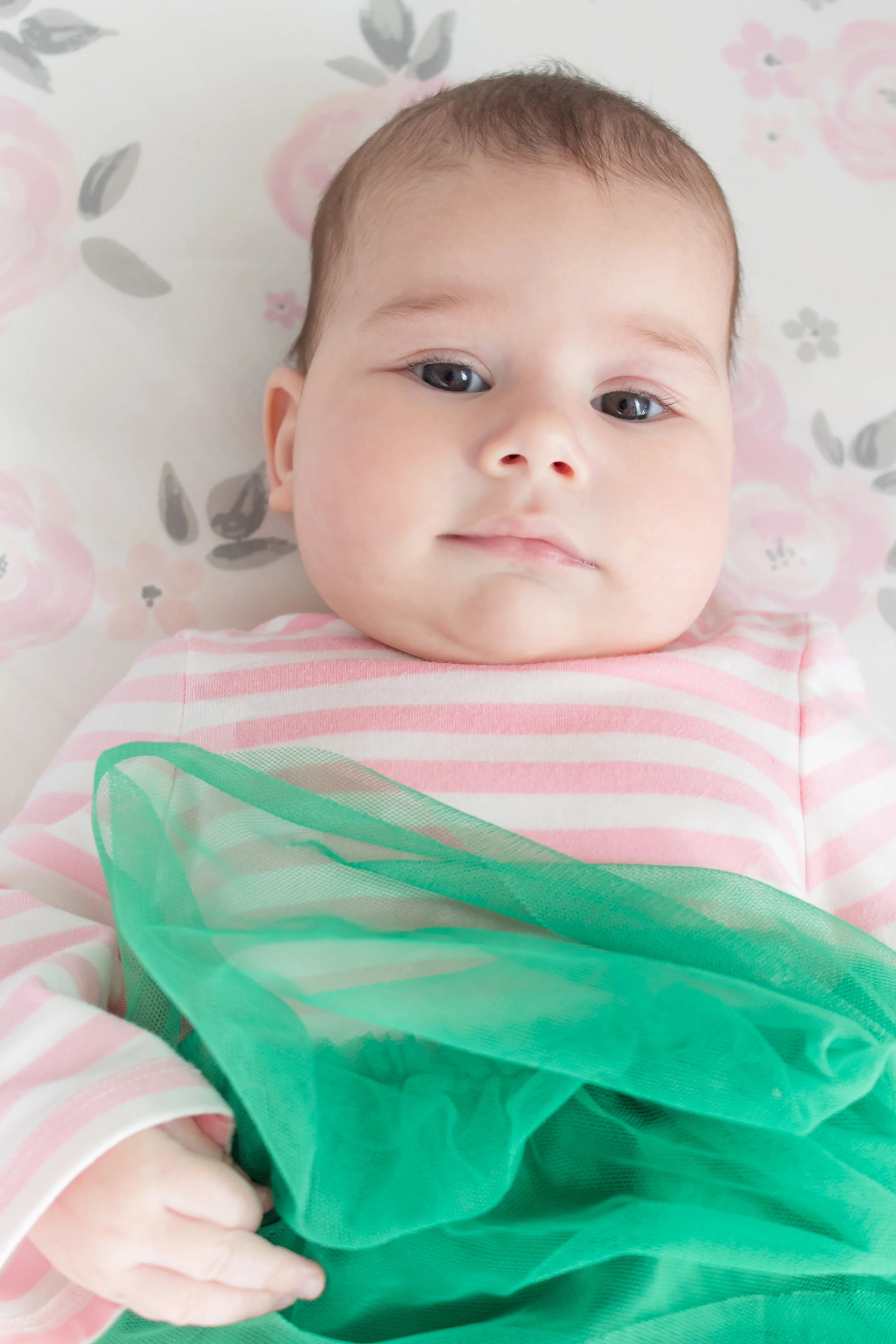 Hailey 5 Mos-4.jpg