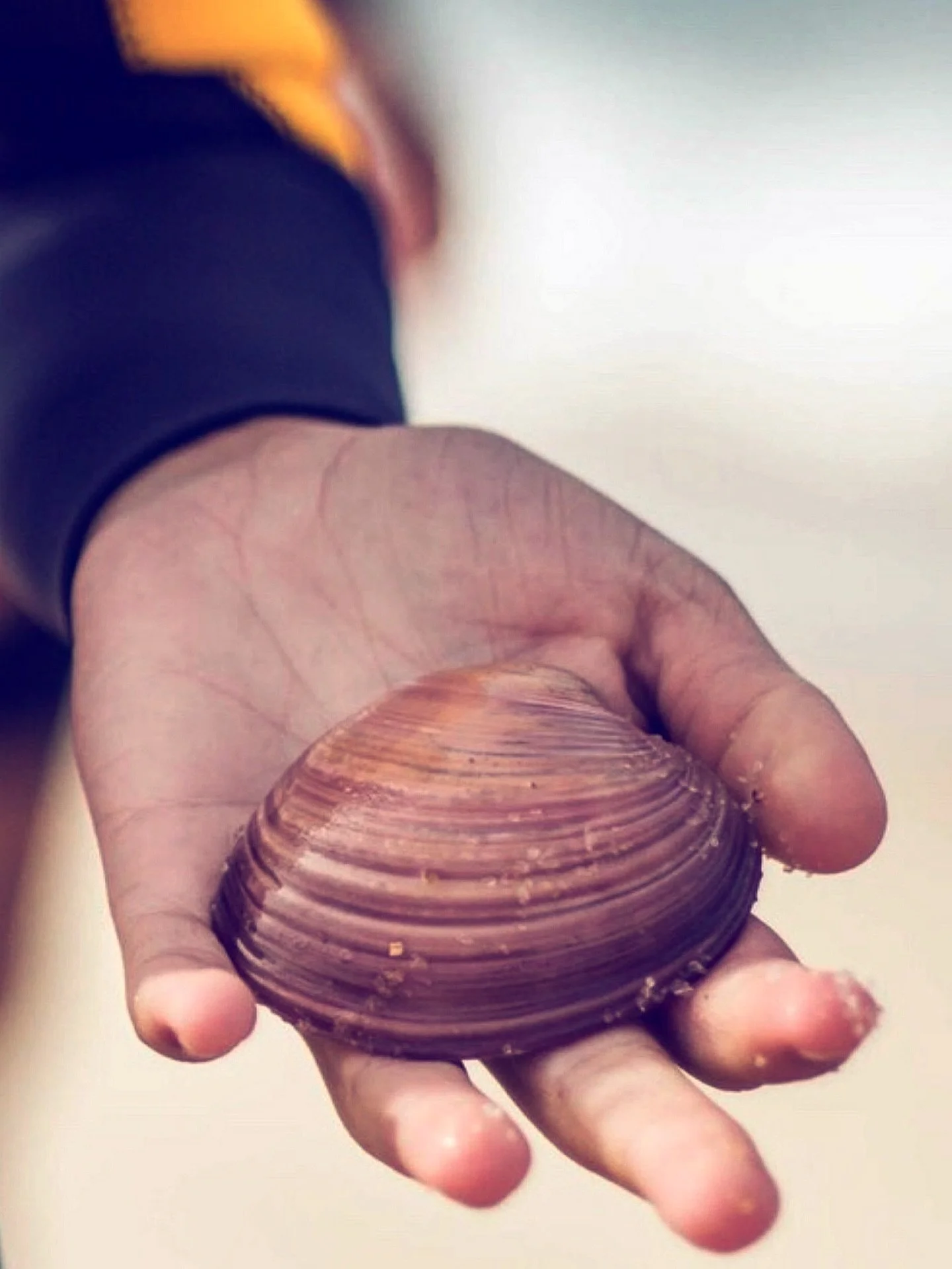 O futuro come&ccedil;a pequeno.
Uma m&atilde;o. Uma concha. Uma escolha.
Que o mar que elas herdem seja vivo, limpo e poss&iacute;vel.

O oceano &eacute; azul. proteja 🌊♻️💙
#guardiasdomar #rethink #reuse #recicle #sustentabilidade