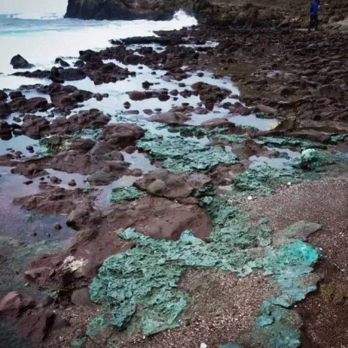 Rochas com pl&aacute;stico aparecem em ninhos de tartarugas na Ilha de Trindade. O alerta &eacute; real: os res&iacute;duos s&oacute;lidos e pl&aacute;sticos  j&aacute; est&atilde;o virando parte da pr&oacute;pria Terra, como mostra o estudo da Marin
