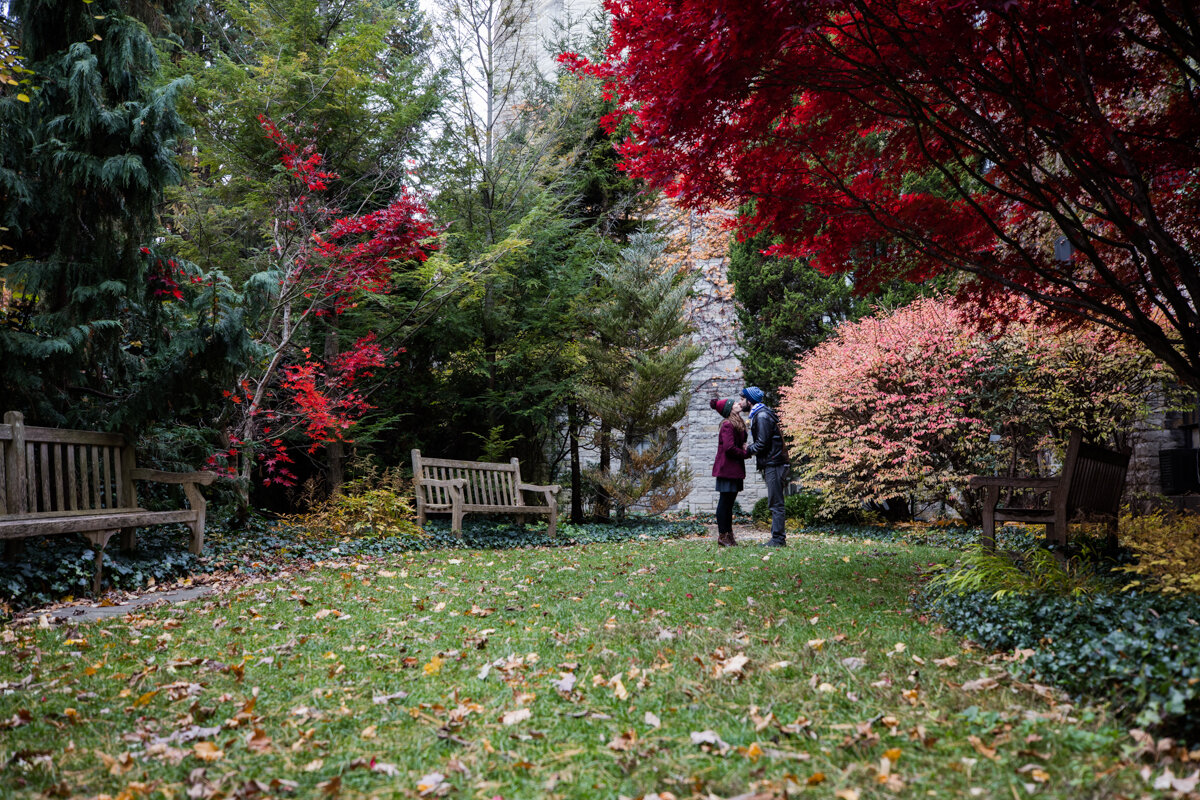 Chicago-Couple-Engagement-Outdoors-Fall.jpg