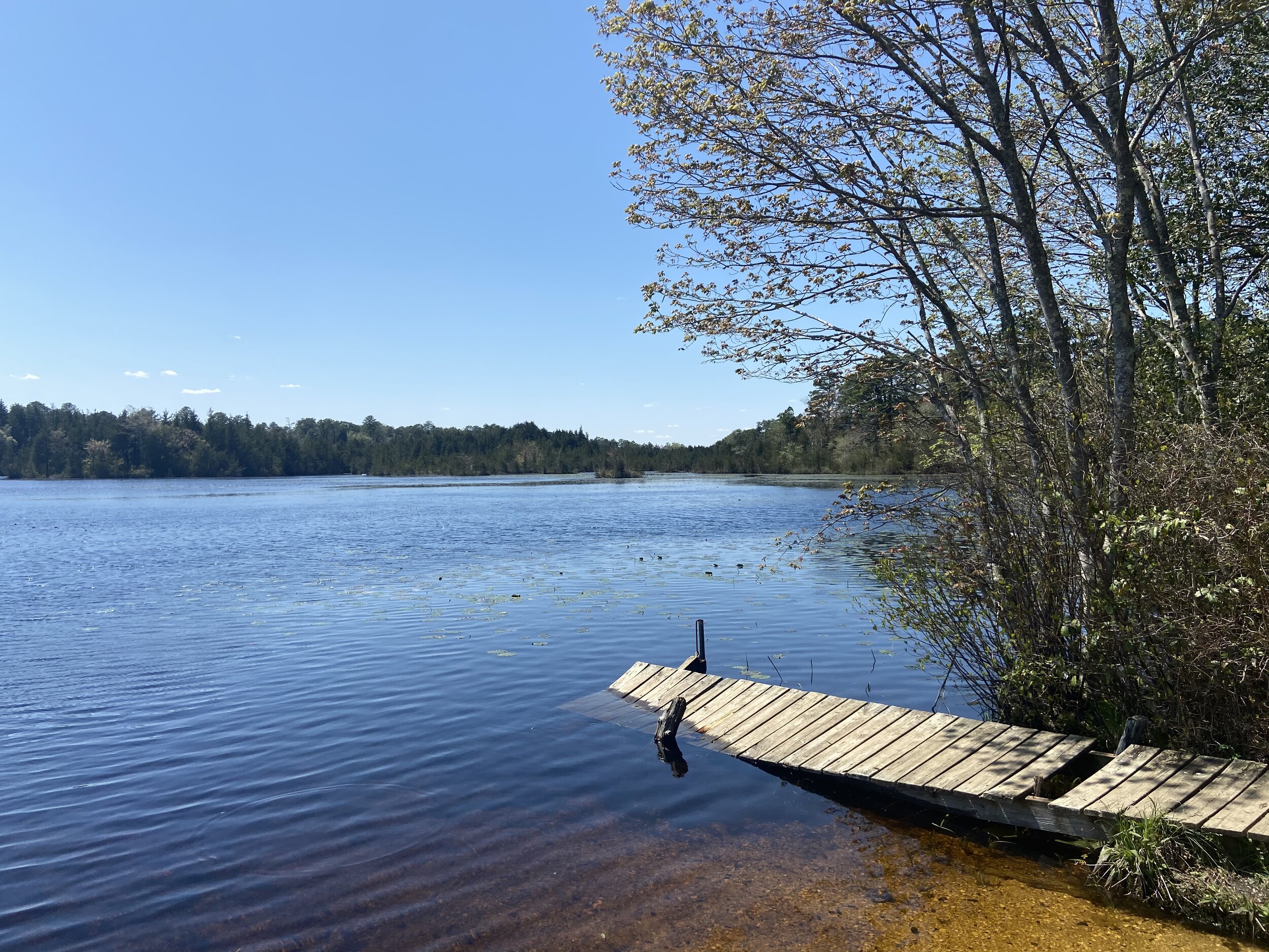  Stephen’s Lake, near Estell Manor House 