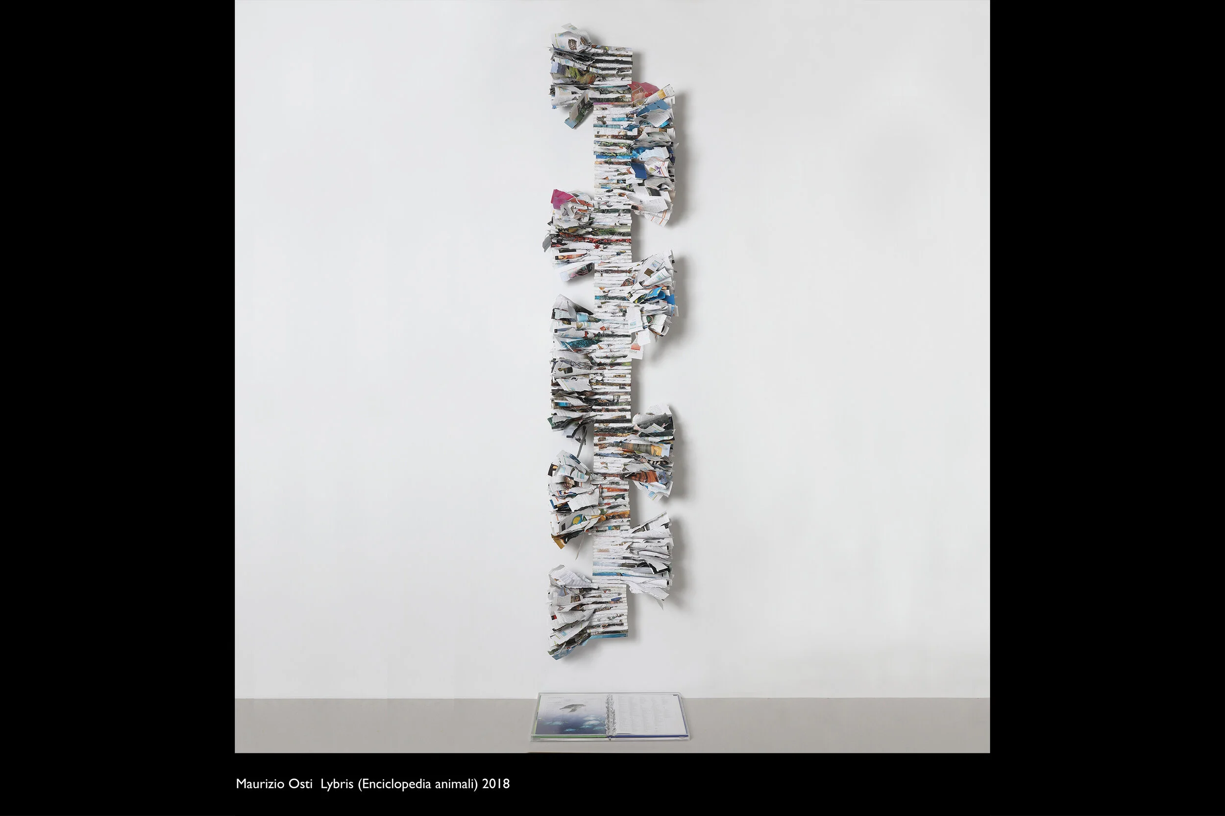 Osti_0011_Layer Comp 12.jpg