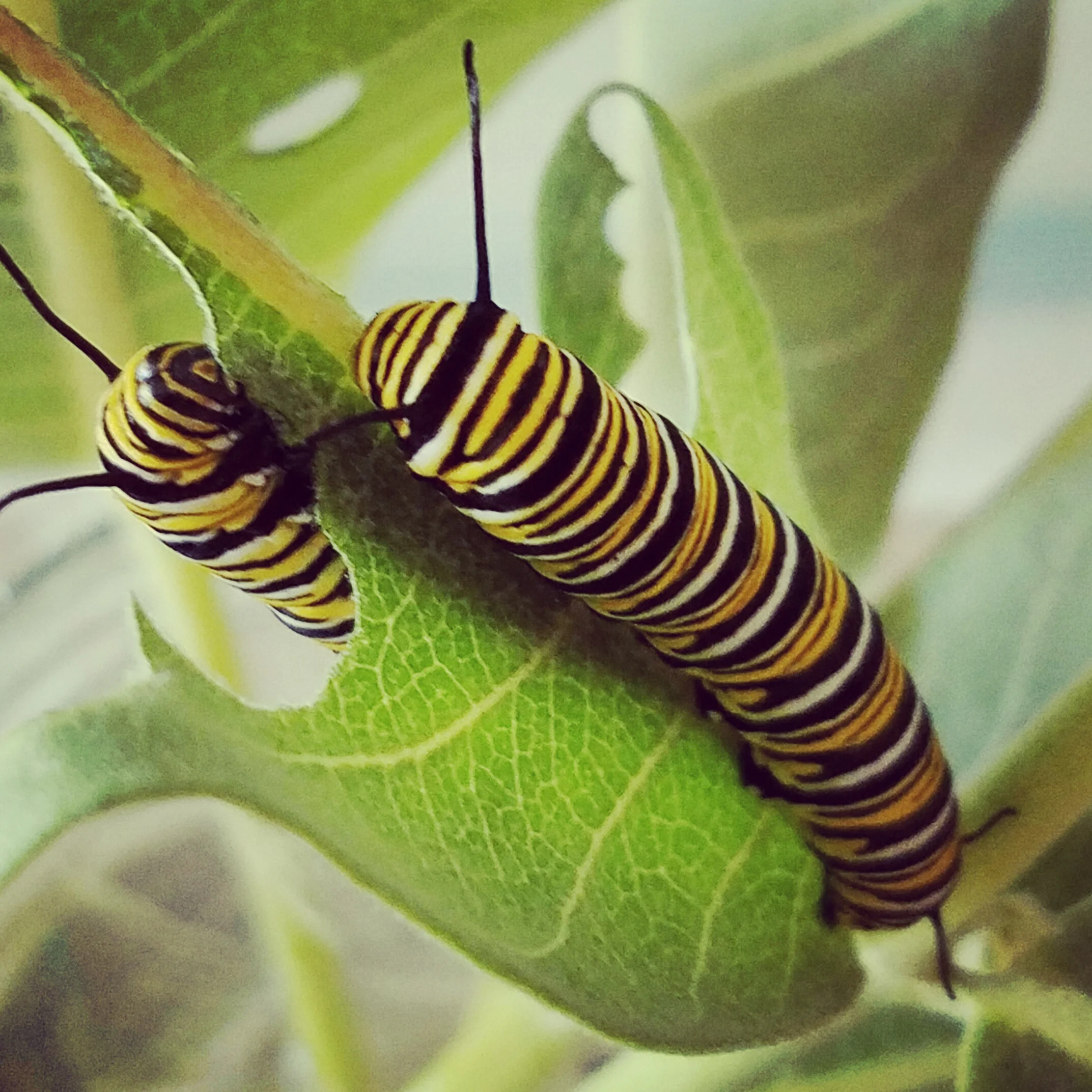 A beautiful shot from our friend Cynthia