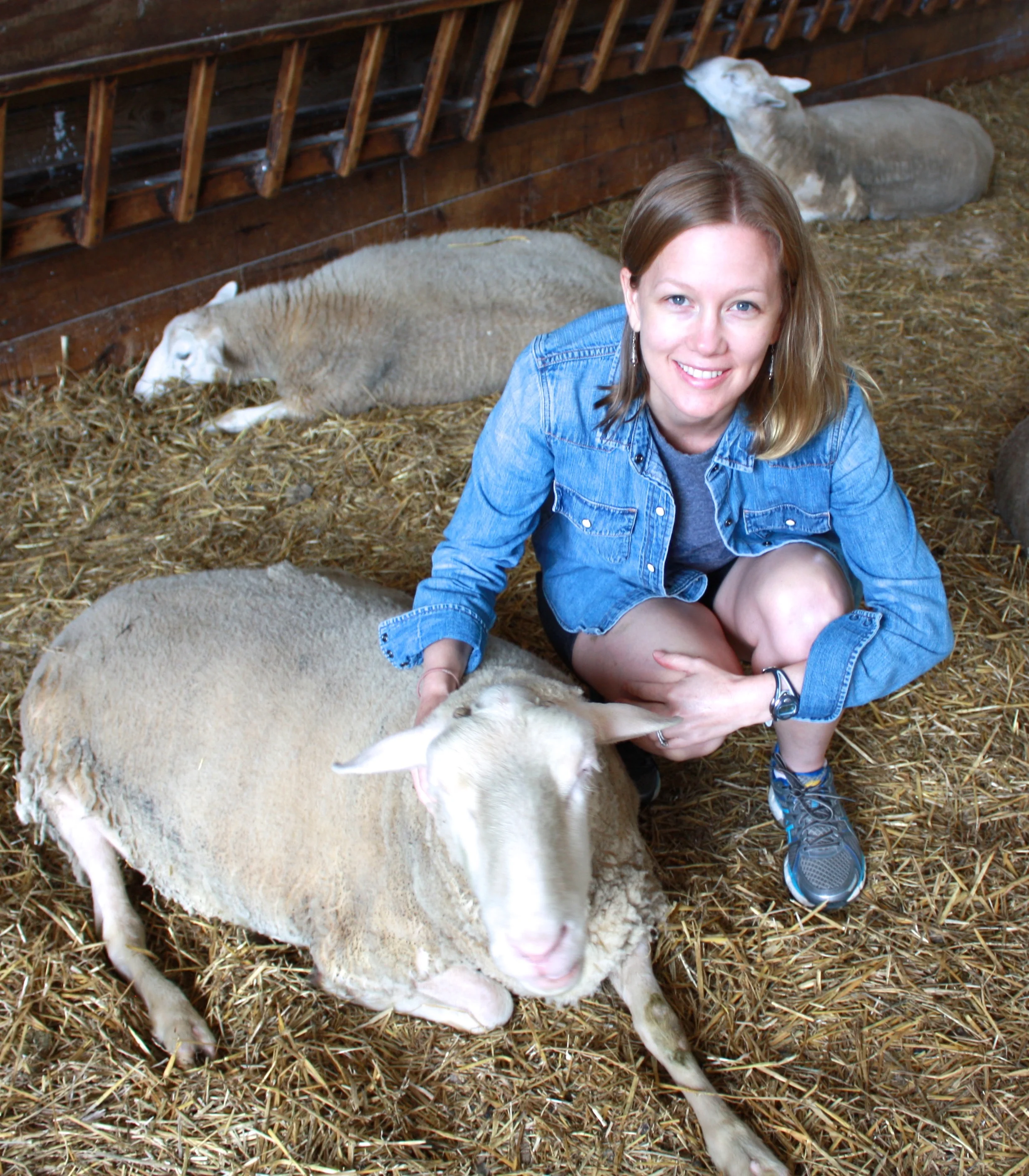 Jane & Cash the sheep