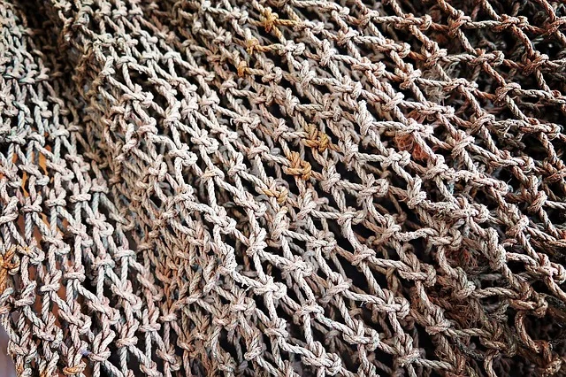 The Miraculous Catch: It's Not About Fishing