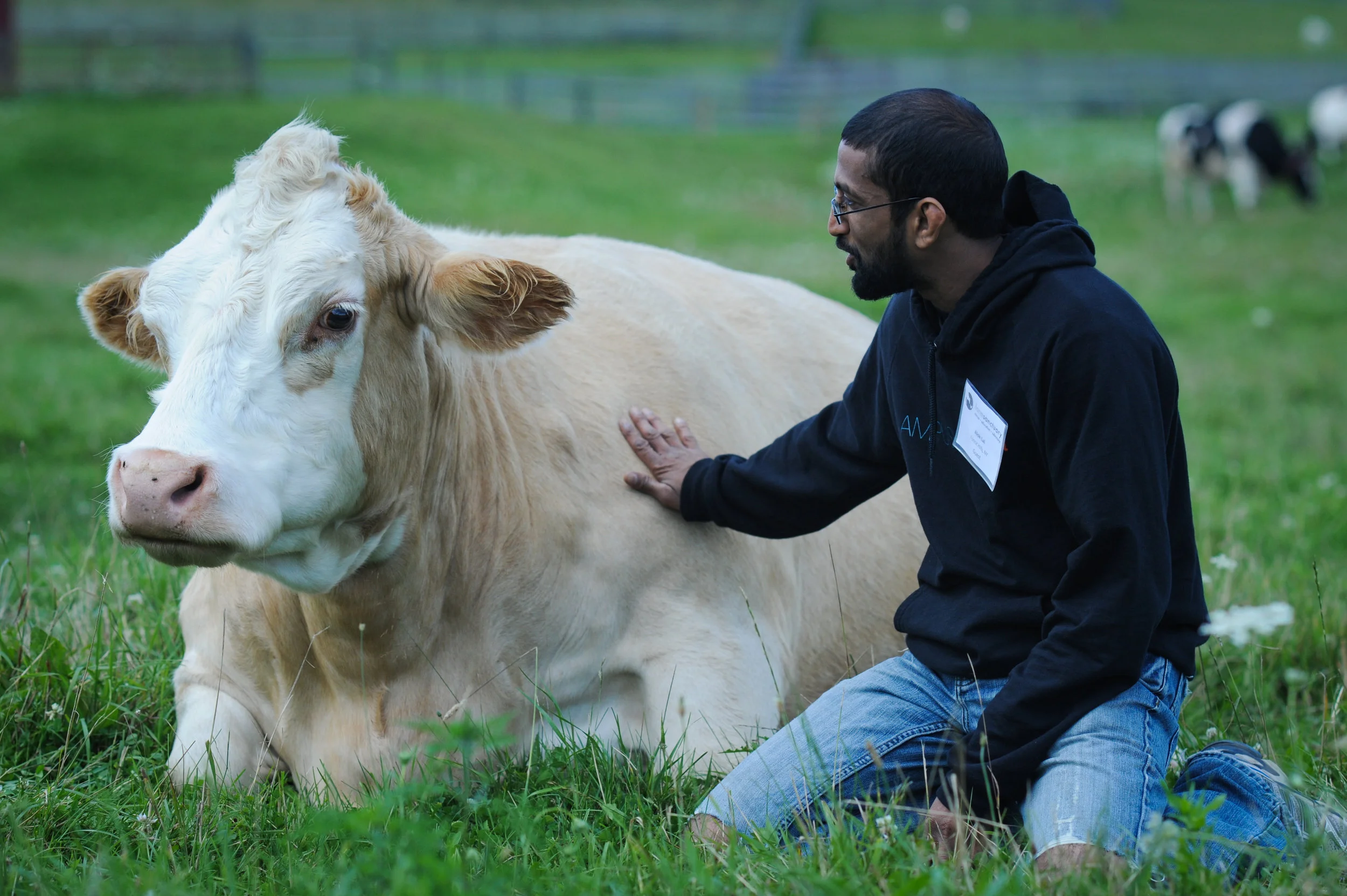 Photo: Jo-Anne McArthur | We Animals