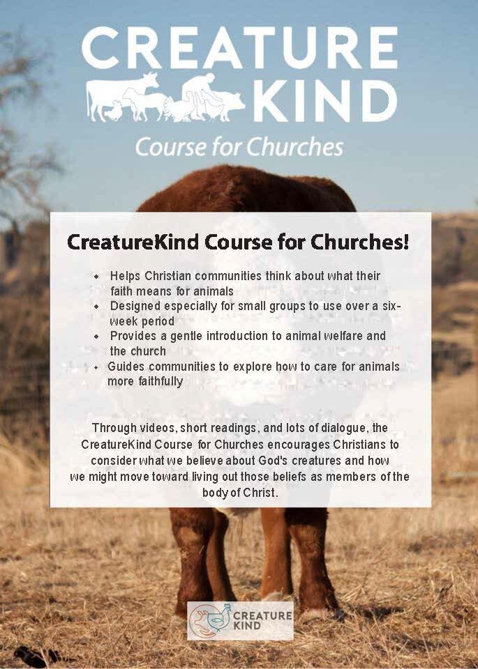course promo flier.jpeg