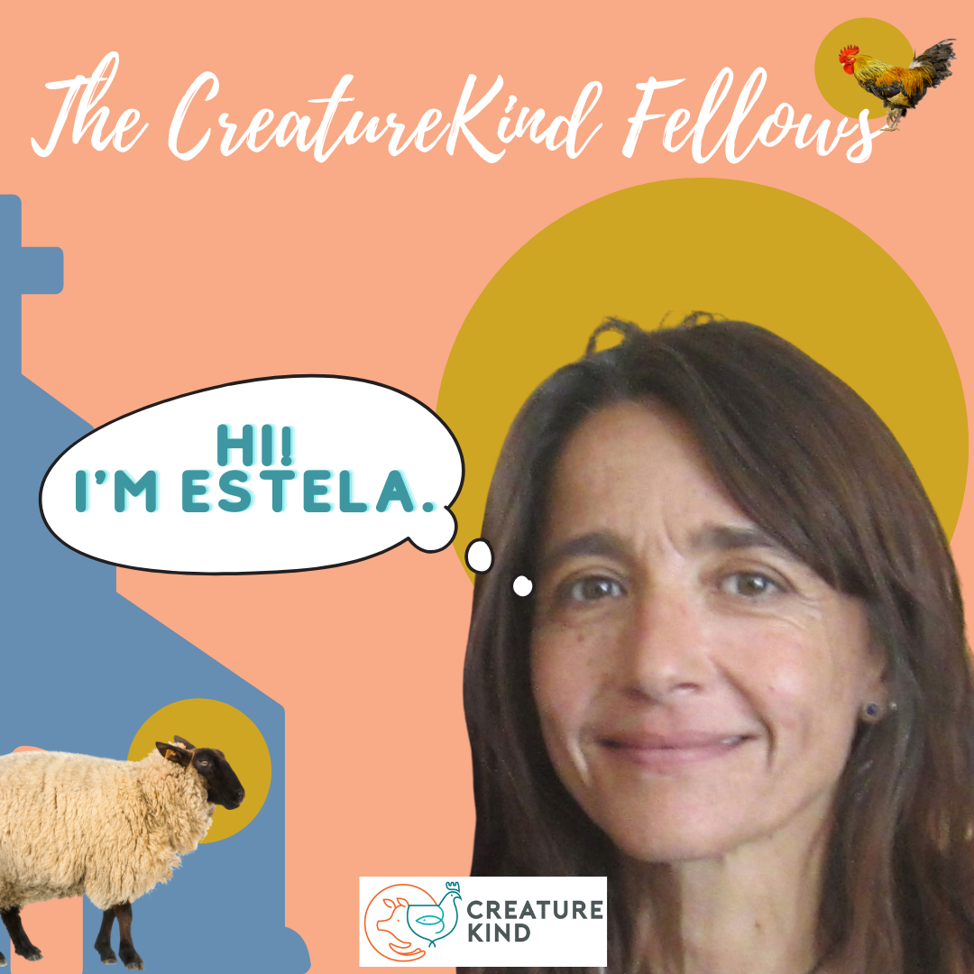 Estela Torres