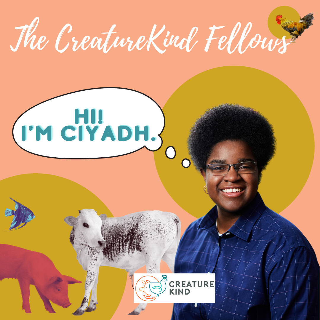 Ciyadh Wells