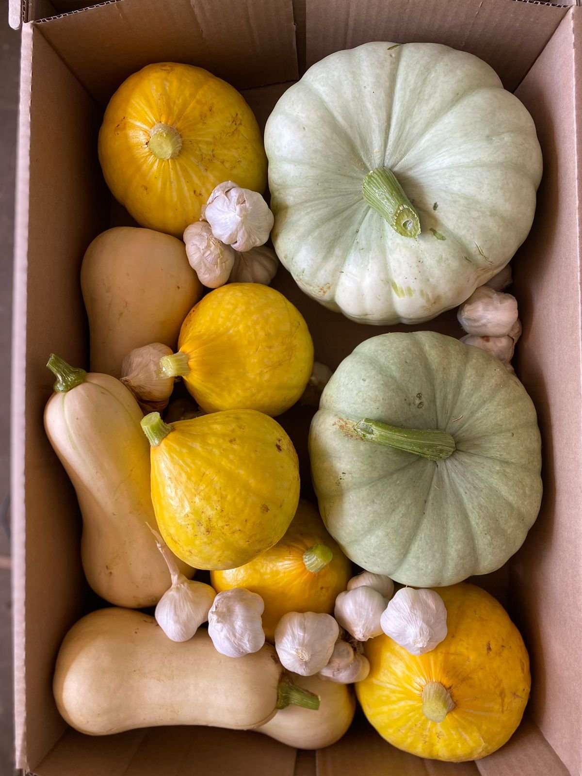 Pumpkins from a local farm