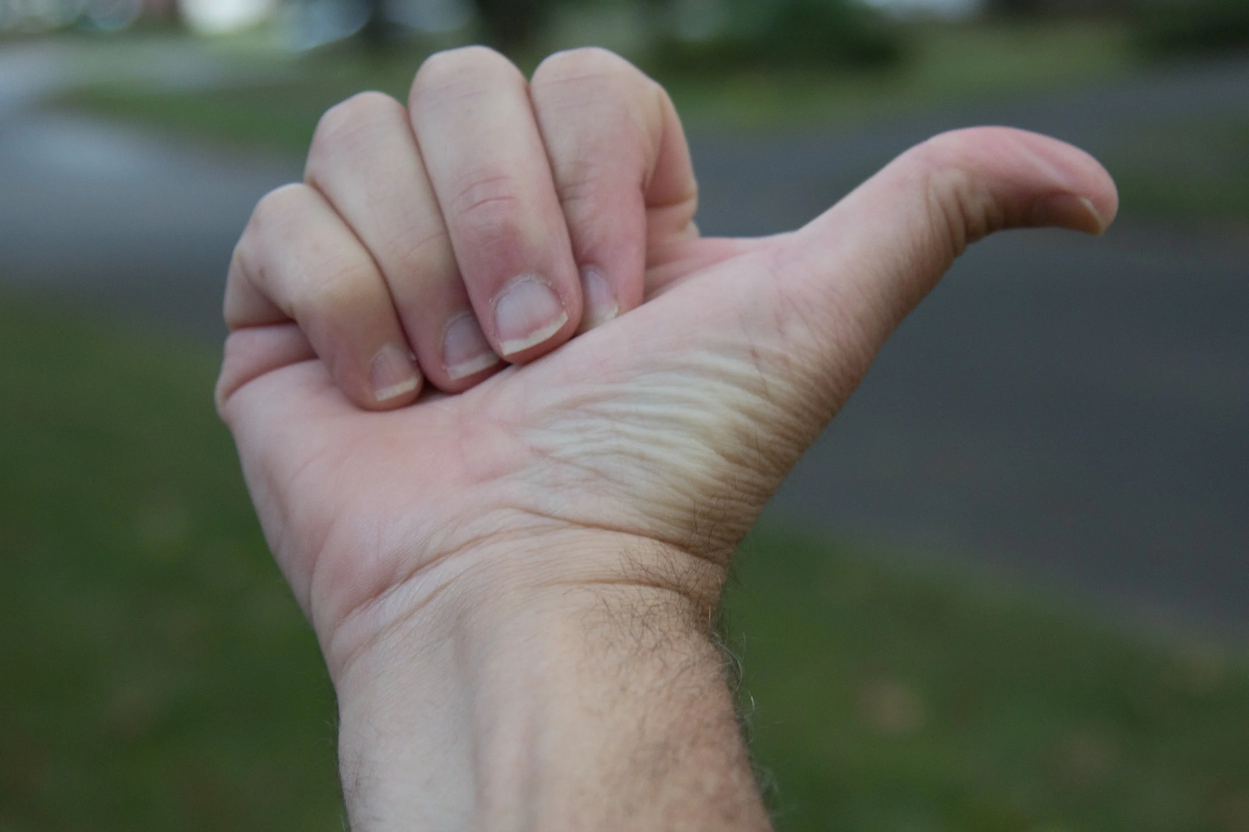 The Hitch Hiker's Guide to New England