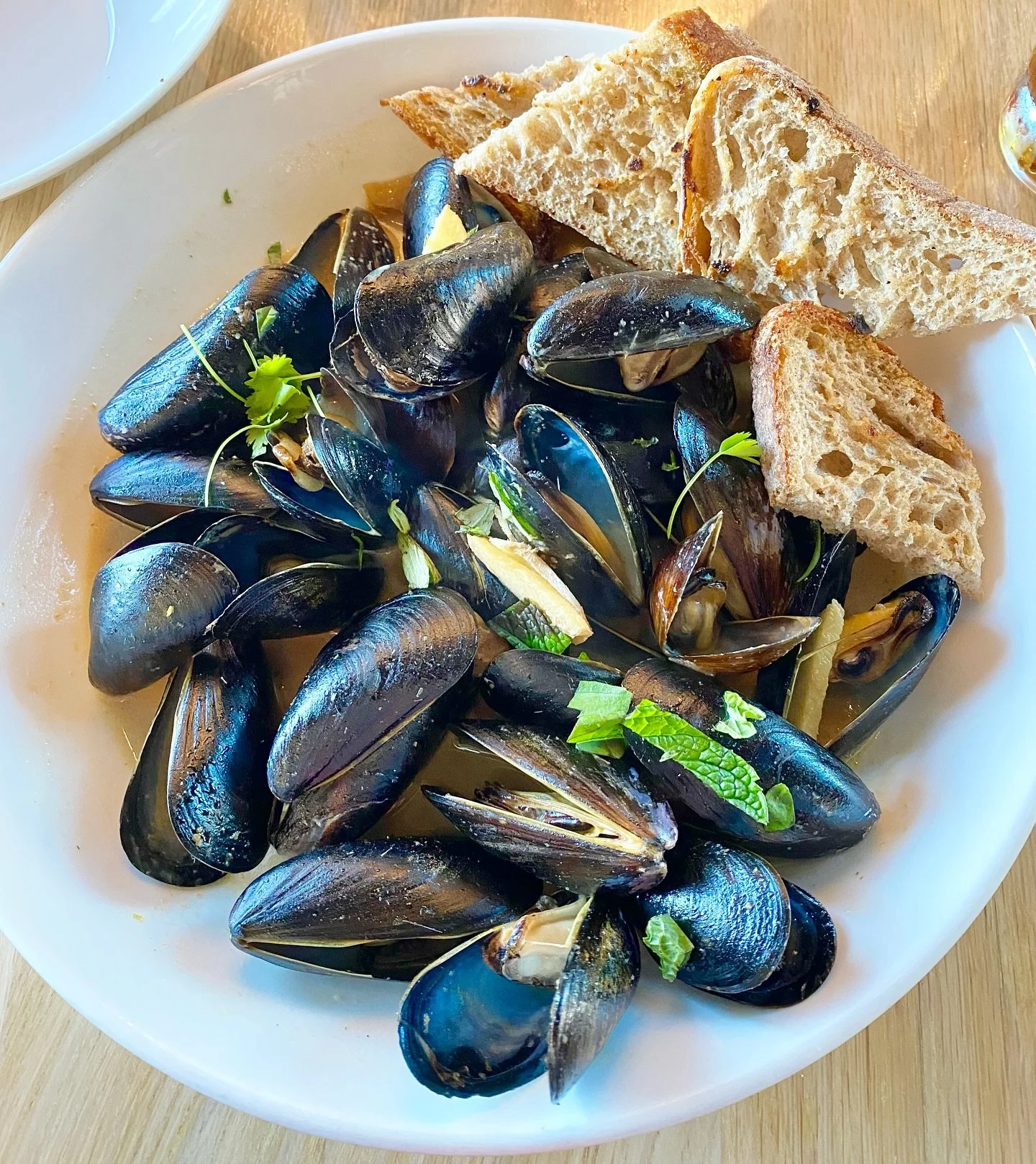At F&amp;W we serve mussels two ways!

Lunch: lots of garlic and white wine
&amp;
Dinner: coconut milk, green curry, and lemongrass

Which preparation are you trying today?
&bull;
&bull;
&bull;
&bull;
#featherandwedge #newengland #restaurant #rockpor