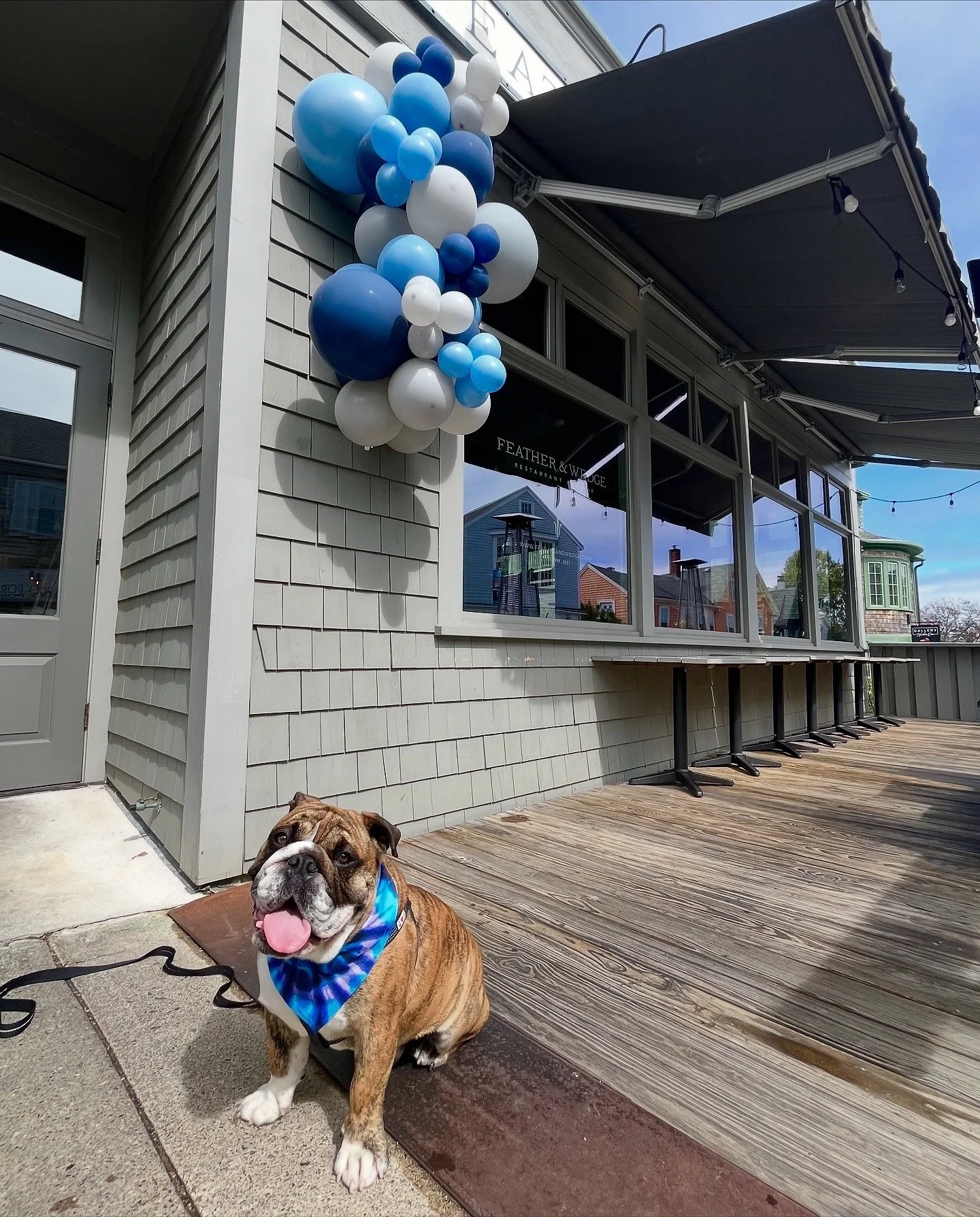 Our mascot Hendrix💙