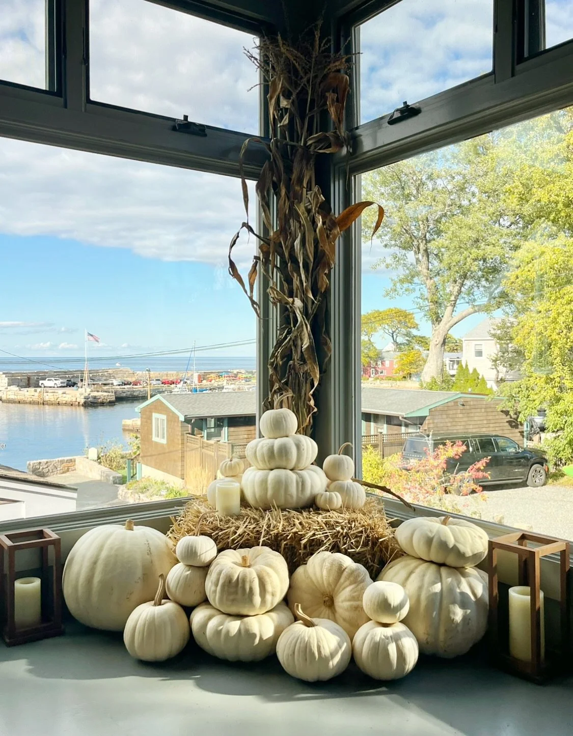 It&rsquo;s fall ya&rsquo;ll🍁🎃🍂